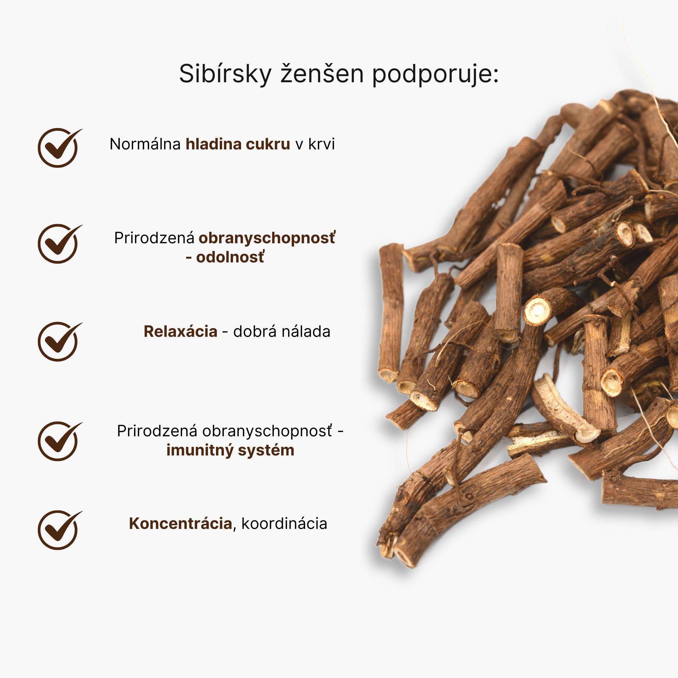 (Slovenčina) - 2025-09-16T123635.106