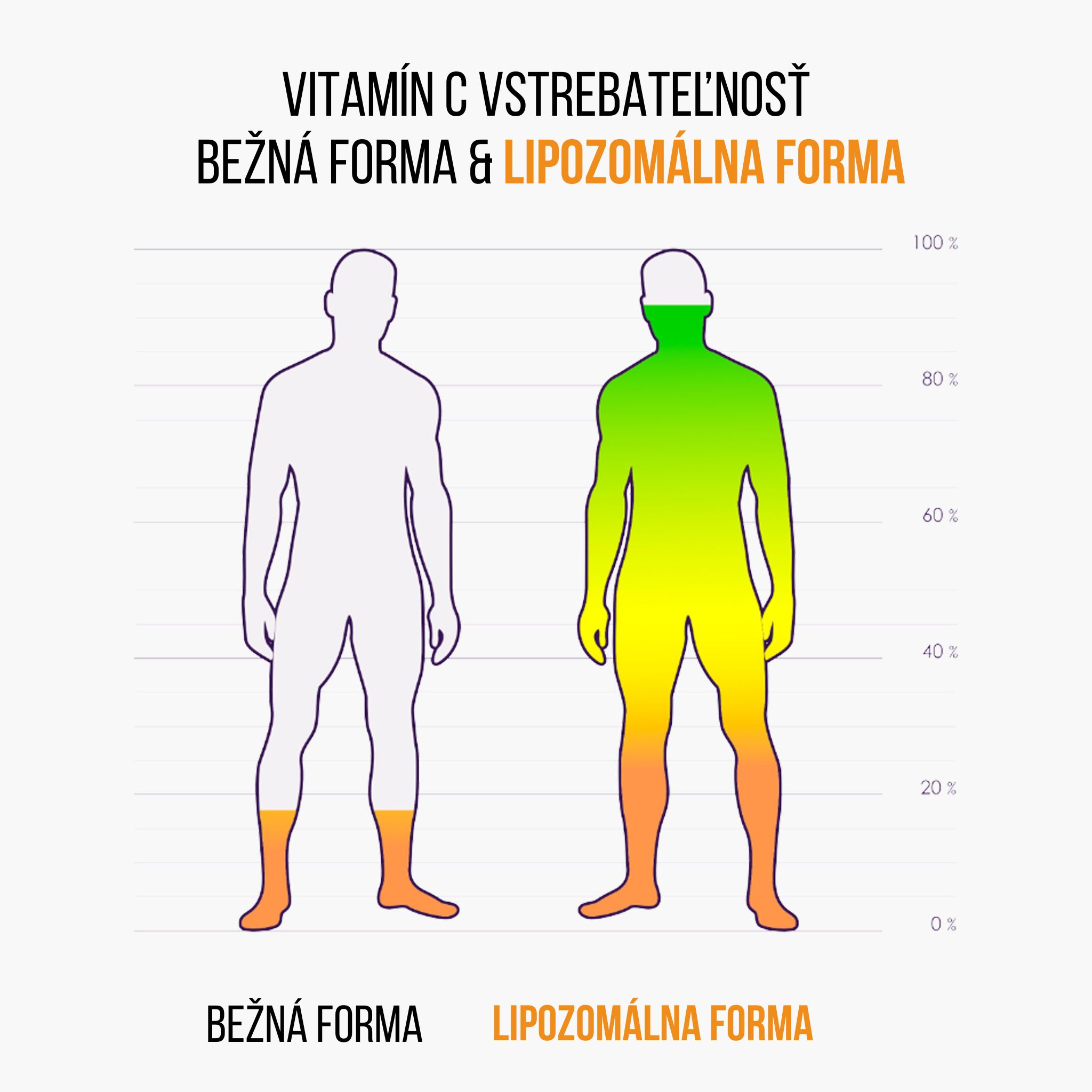 (Slovenčina) - 2025-08-08T154621.303