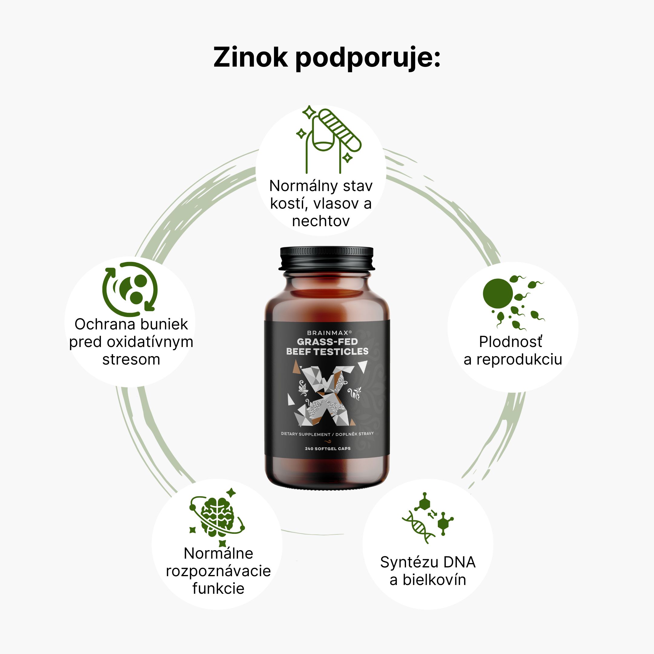 (Slovenčina) Zinek (1)