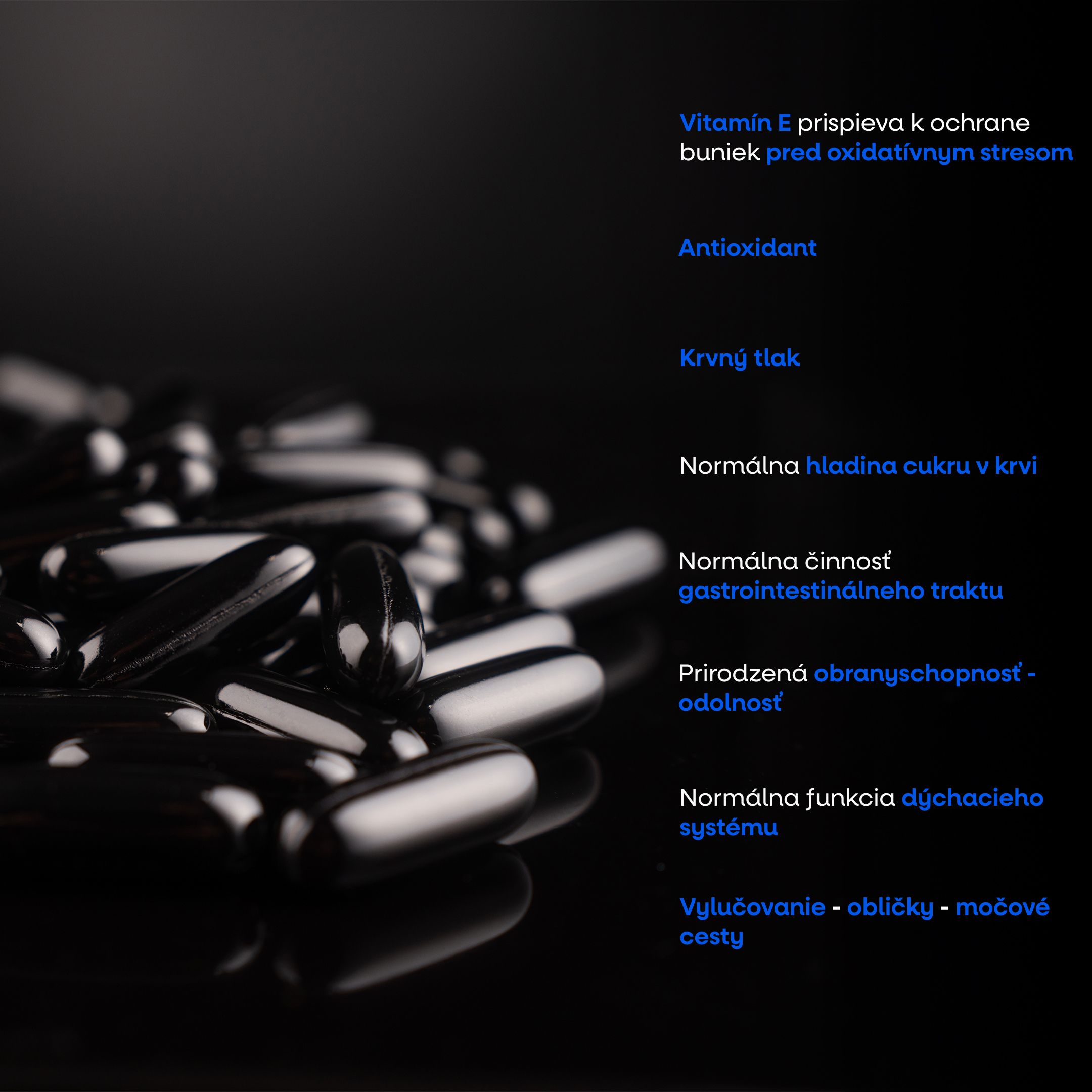 (Slovenčina) (85)_1