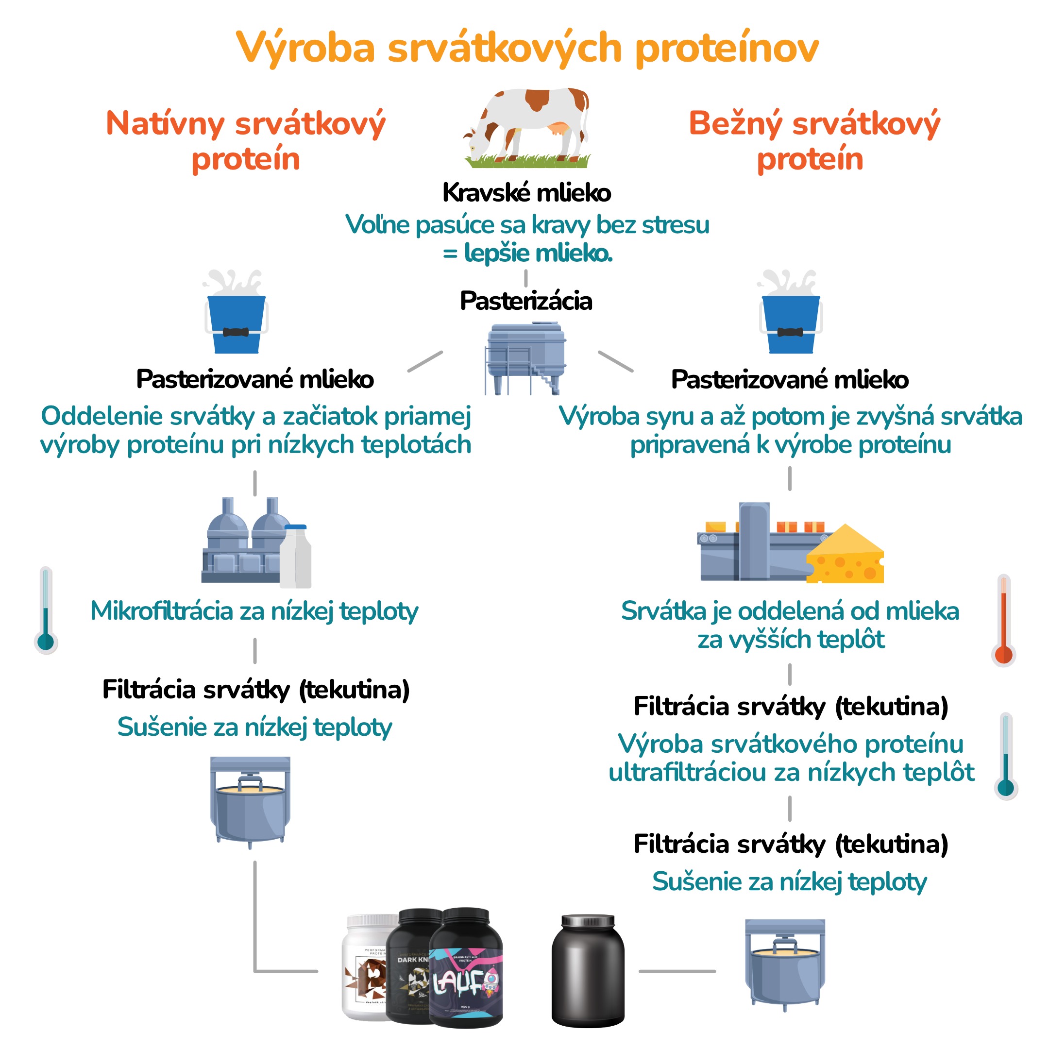 Vyroba proteinu_4