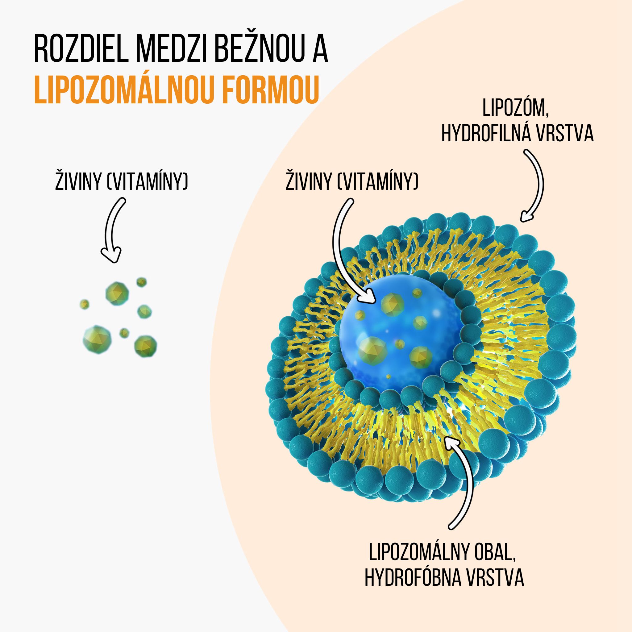(Slovenčina) lipo vs bezna forma