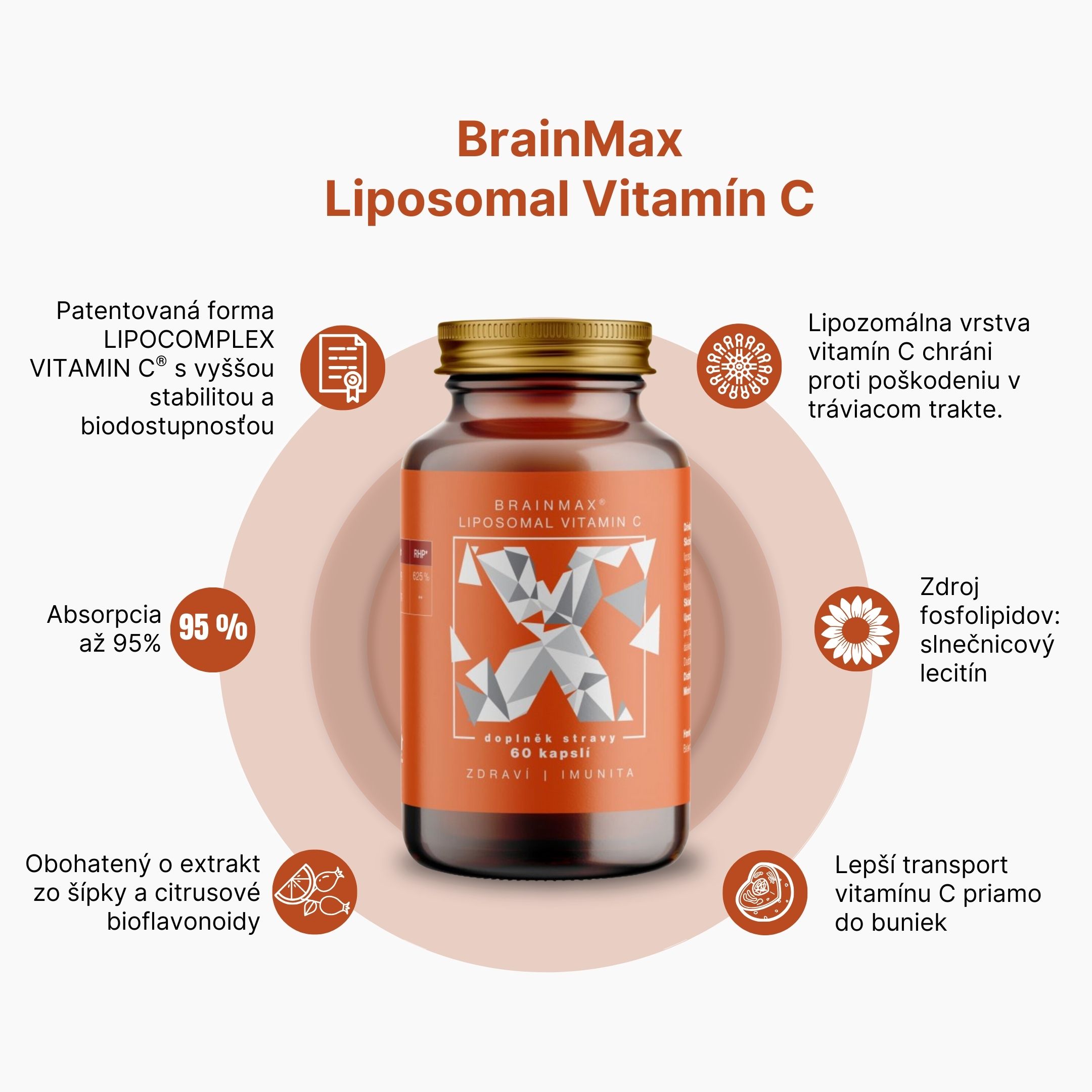 (Slovenčina) - 2024-12-30T215859.406