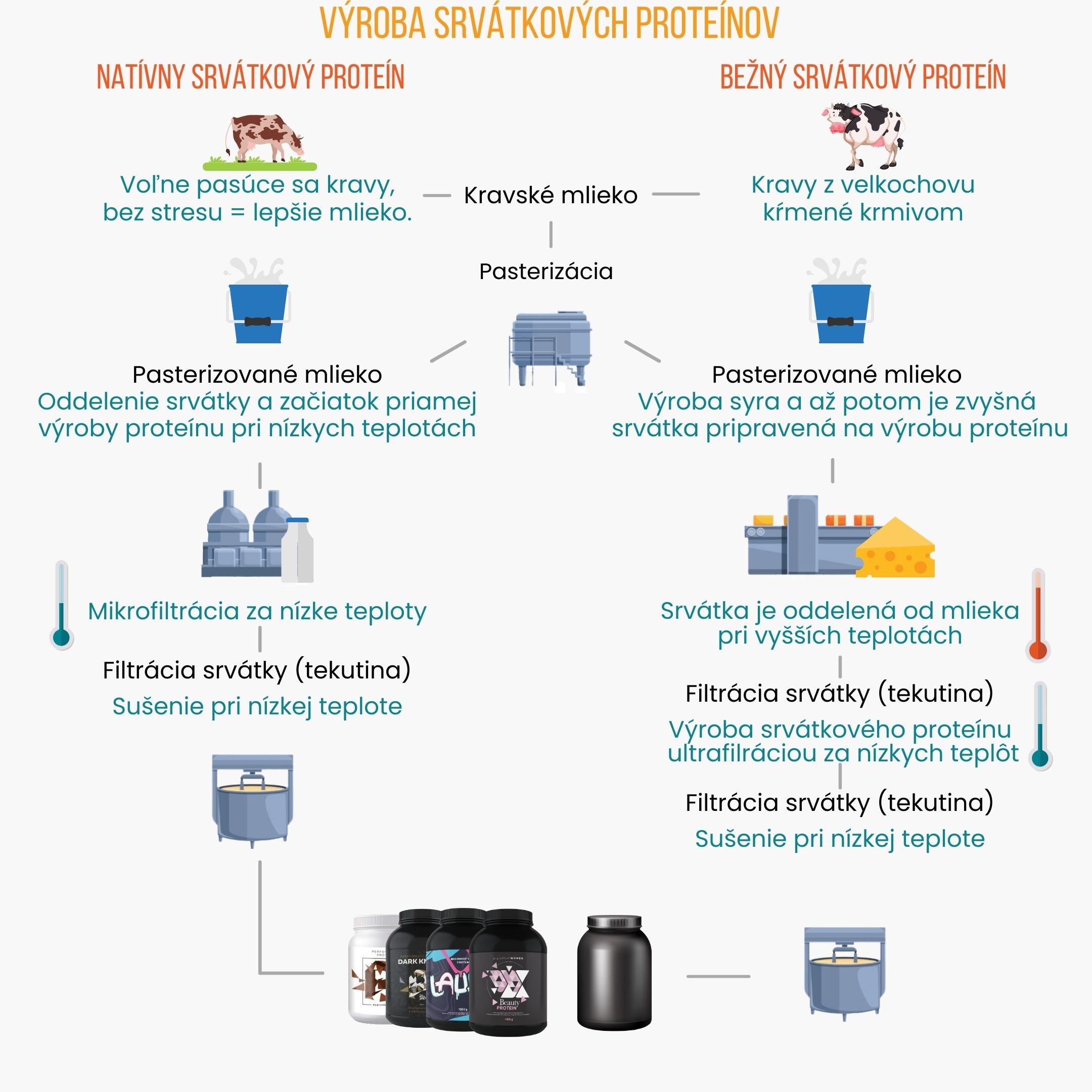 Vyroba proteinu_bez pozadi_cz