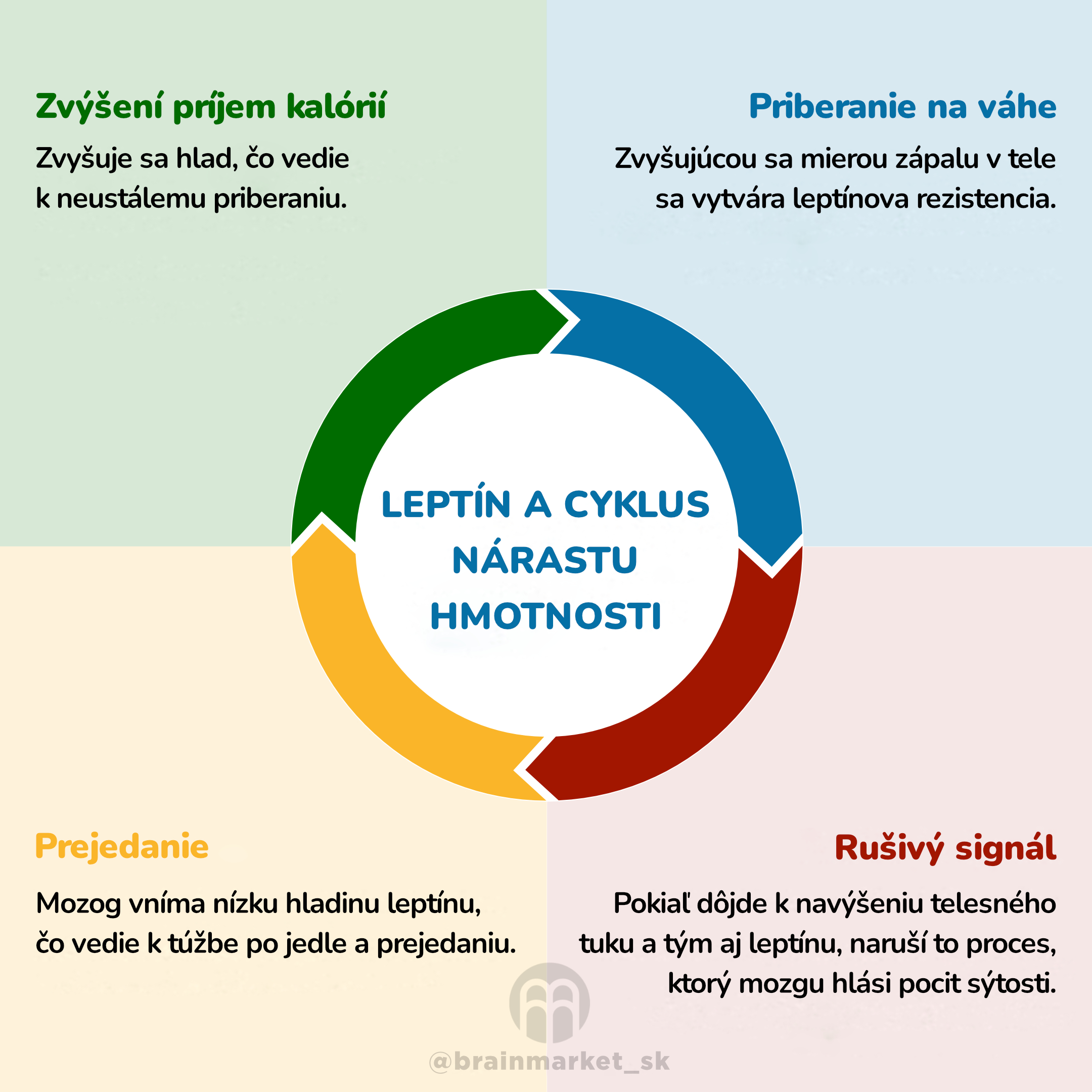 Lektin a cyklus hmontosi_inforgafika_cz