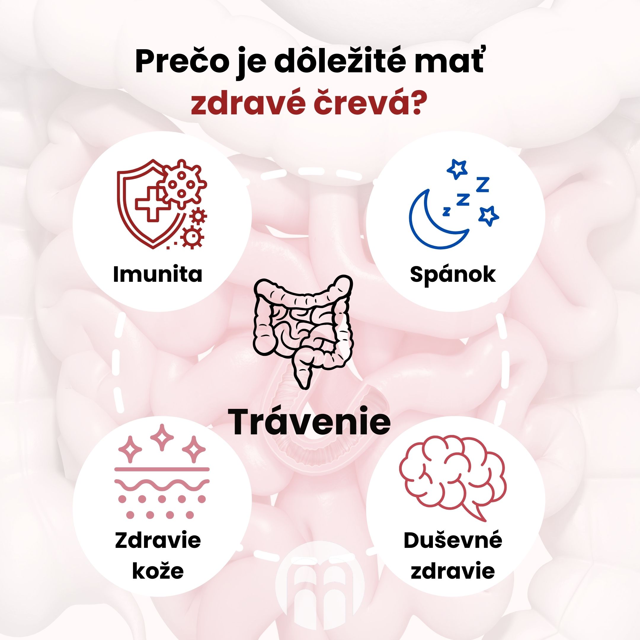 Proč je důležité mít  zdravá střeva