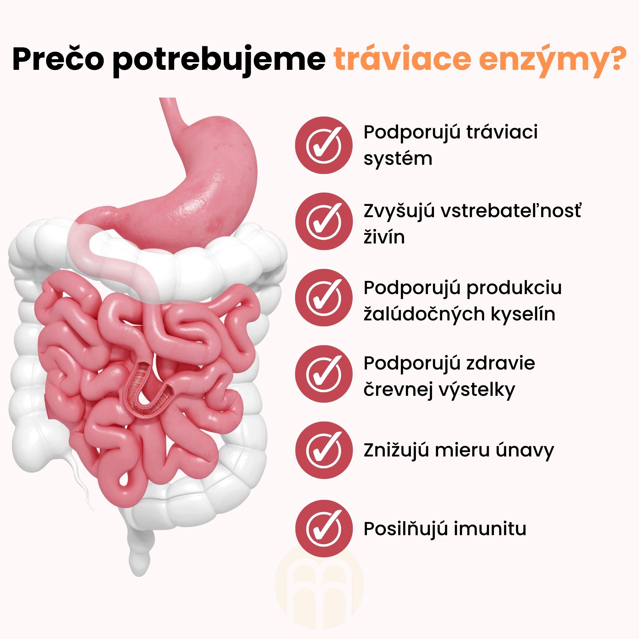 proc-potrebujeme-enzymy-infografika-brainmarket-sk