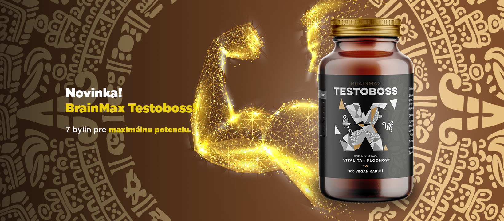 TESTOBOSS fb header SK