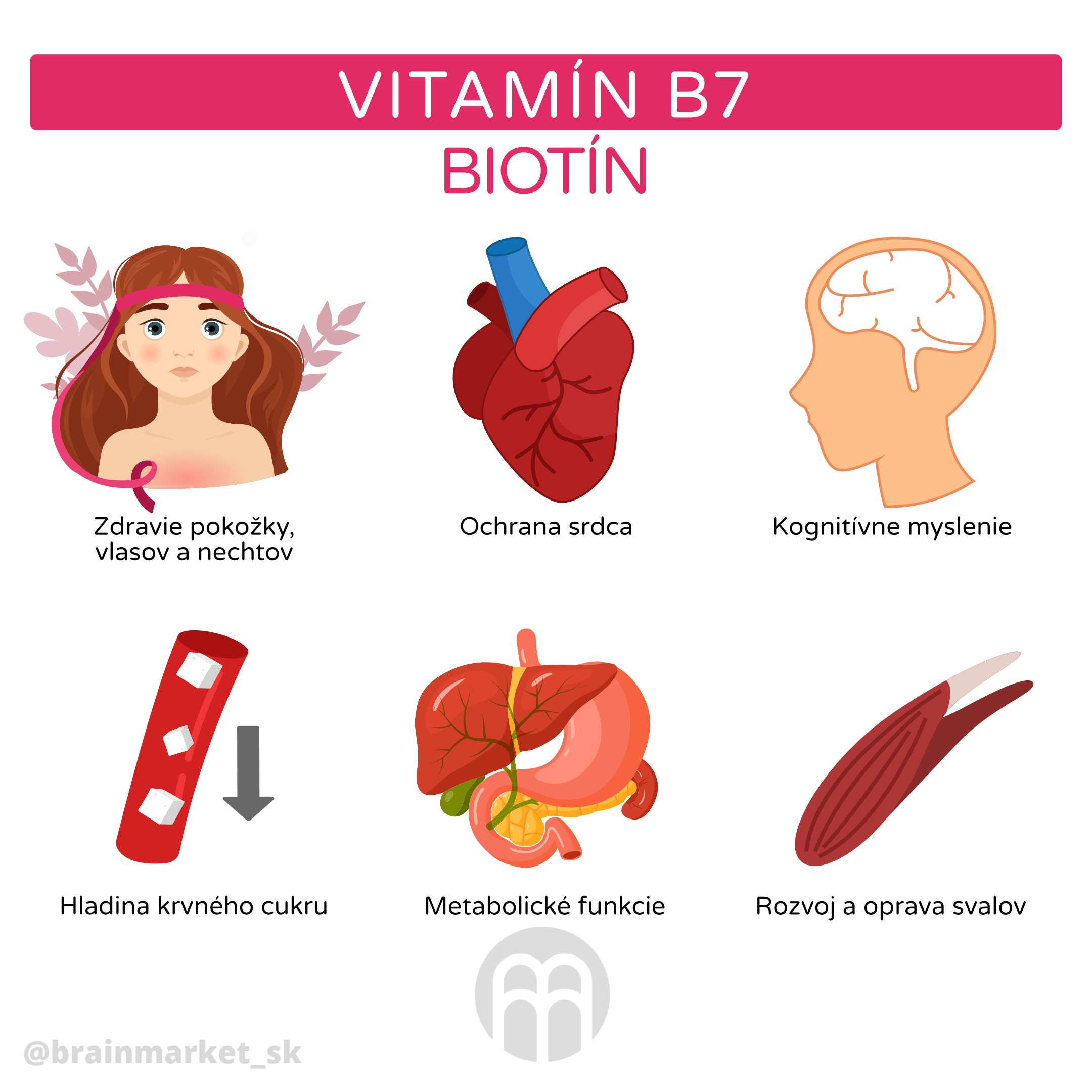 VitaminB7_infografika_cz