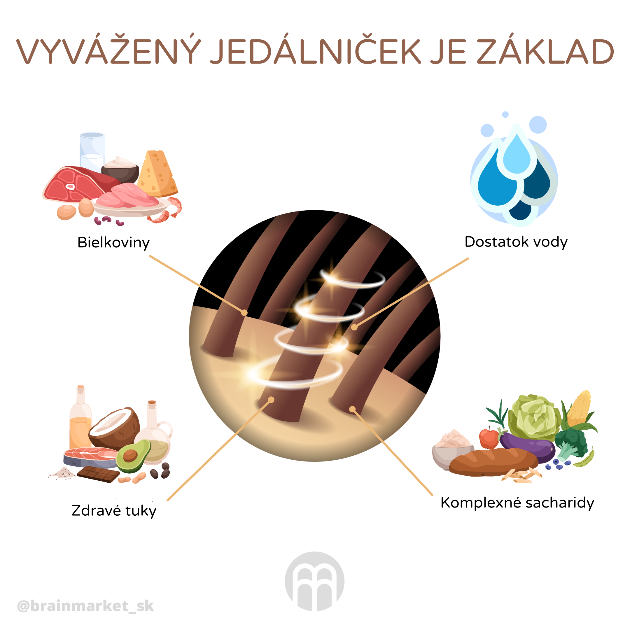 vlasy2_infografika_cz