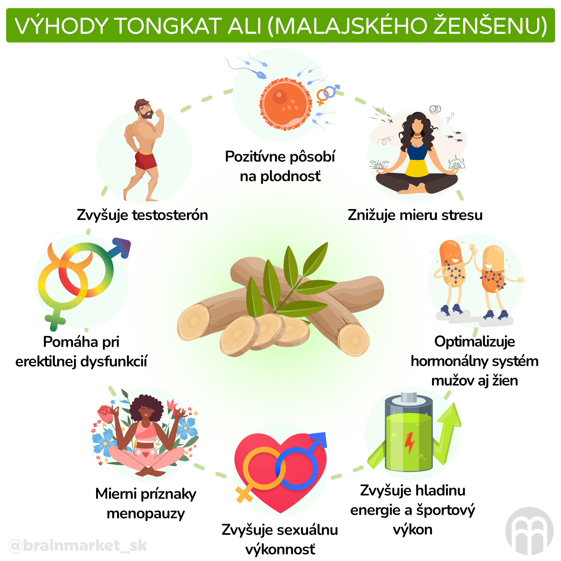 Výhody Tonkgat ali (malajského ženšenu)_infografika_cz