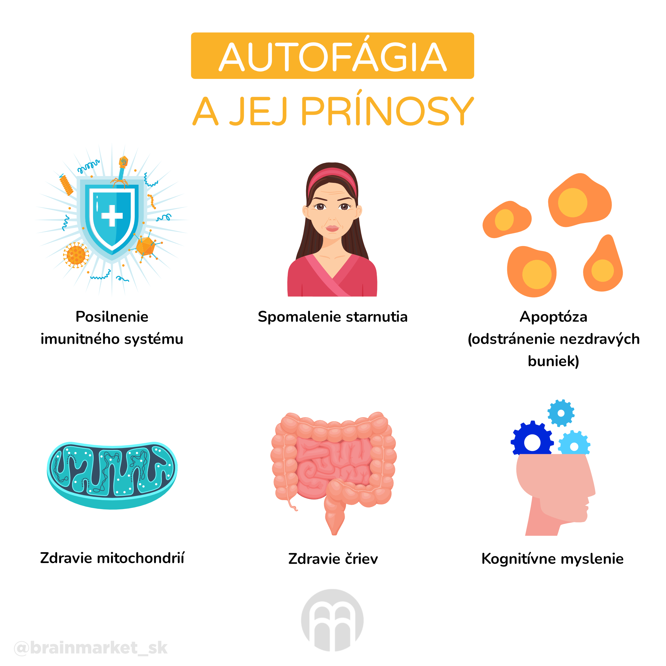 autofafie_a_jeji_prinosy_infografika_cz
