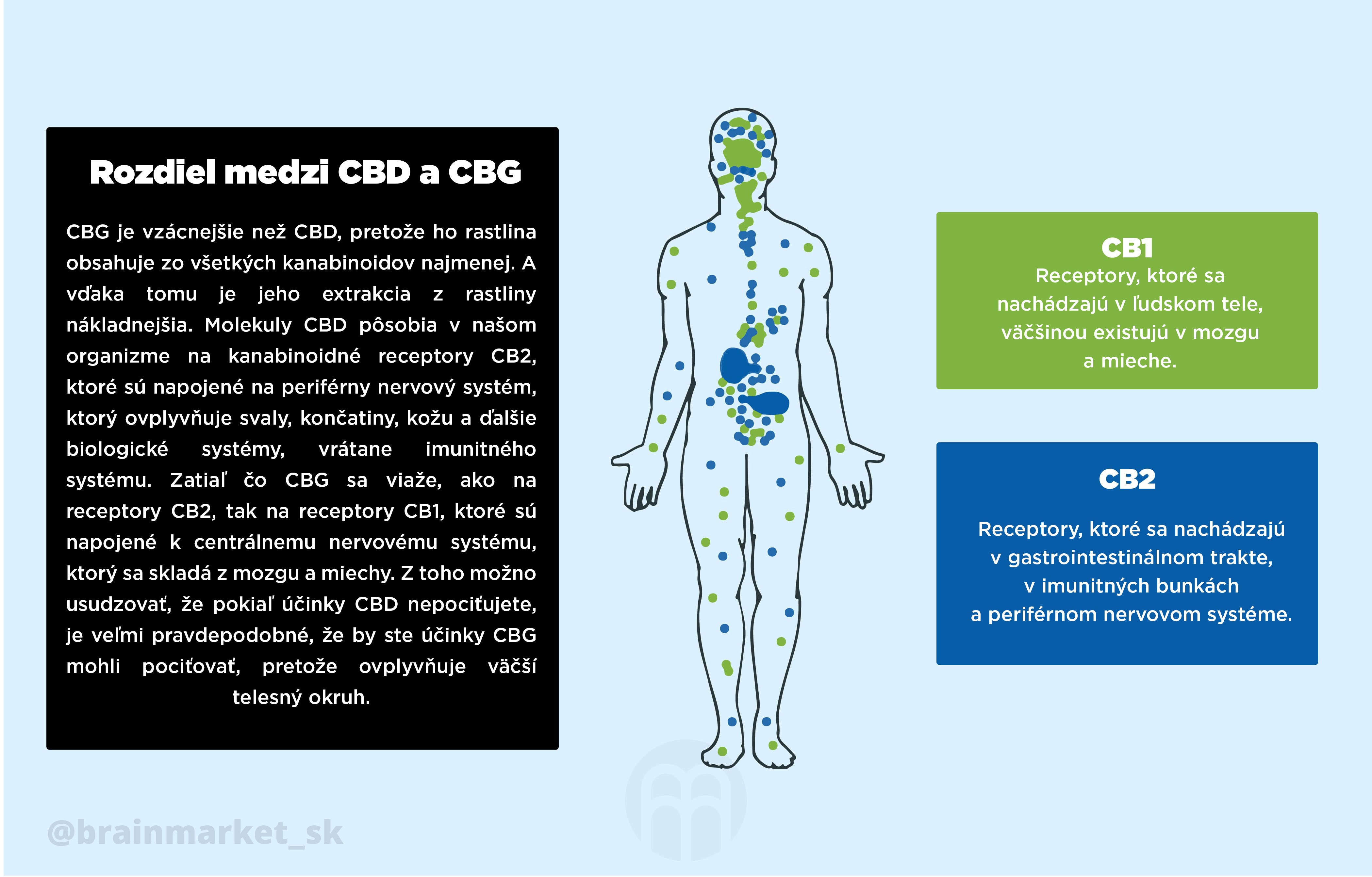 cbd-vs-cbg-infografika-brainmarket-sk