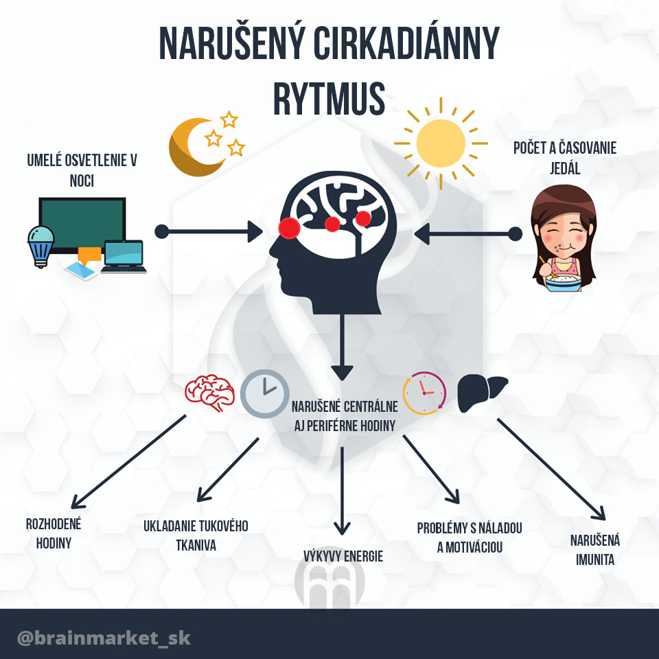 cirkadianny-rytmus-infografika-brainmarket-sk