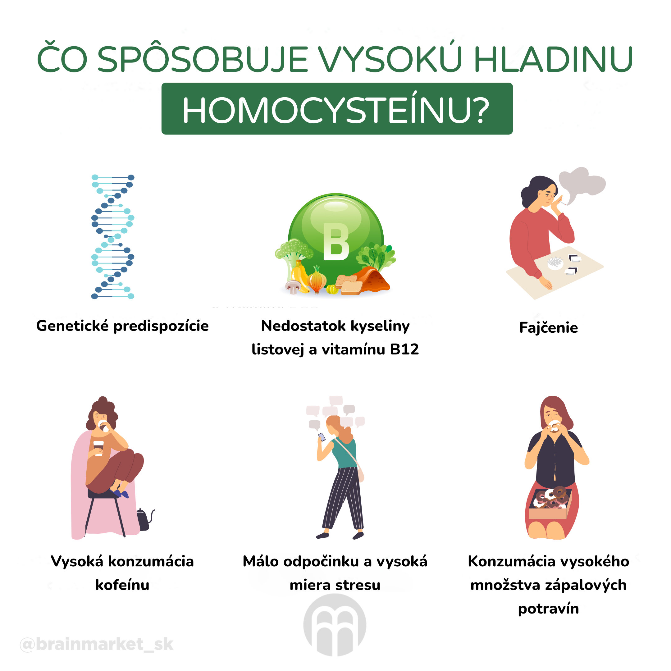 co zpusobuje vysokou hladinu homocysteinu_infografika_cz