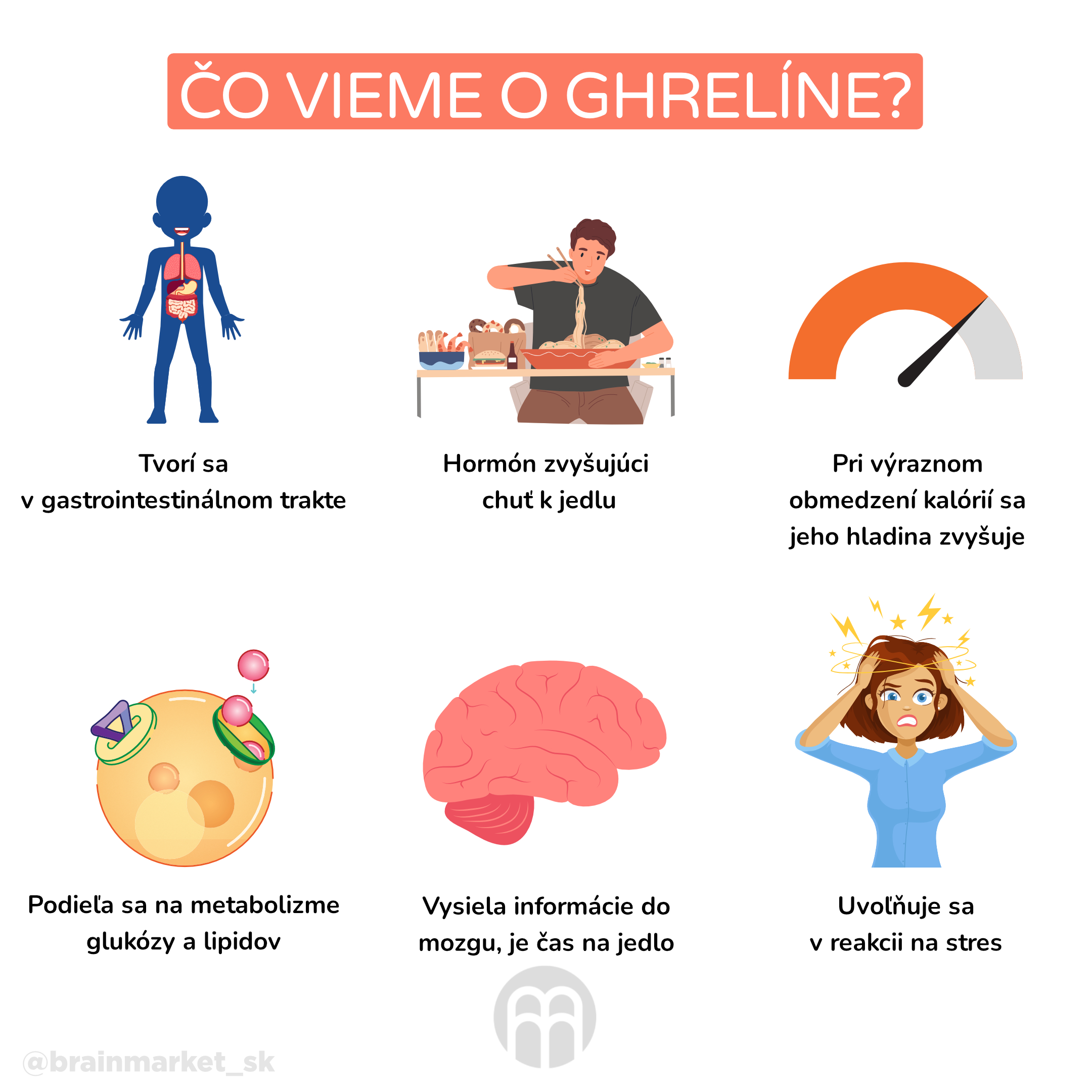 co vime o ghrelinu_infografika_cz