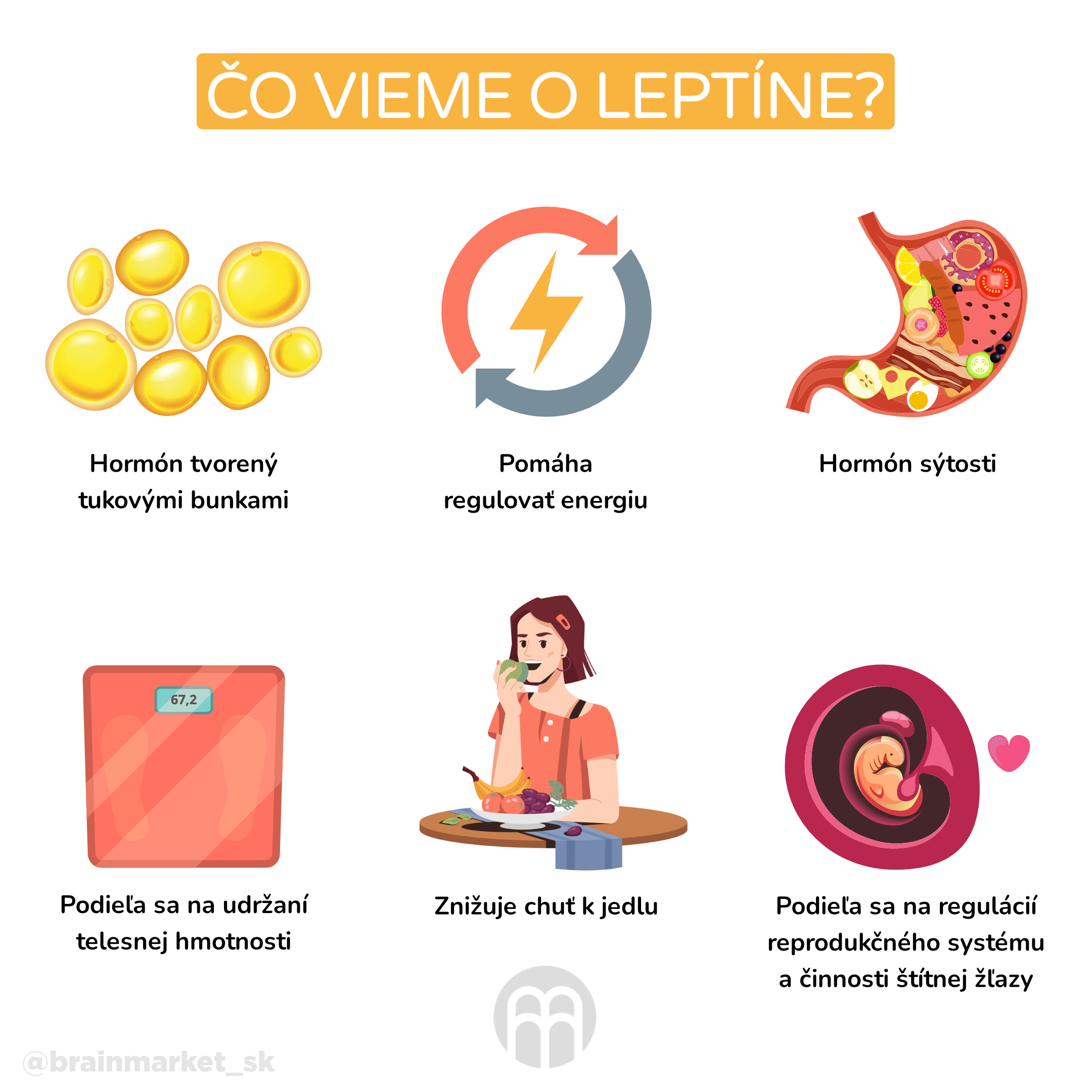 co vime o leptinu_infografika_cz_1