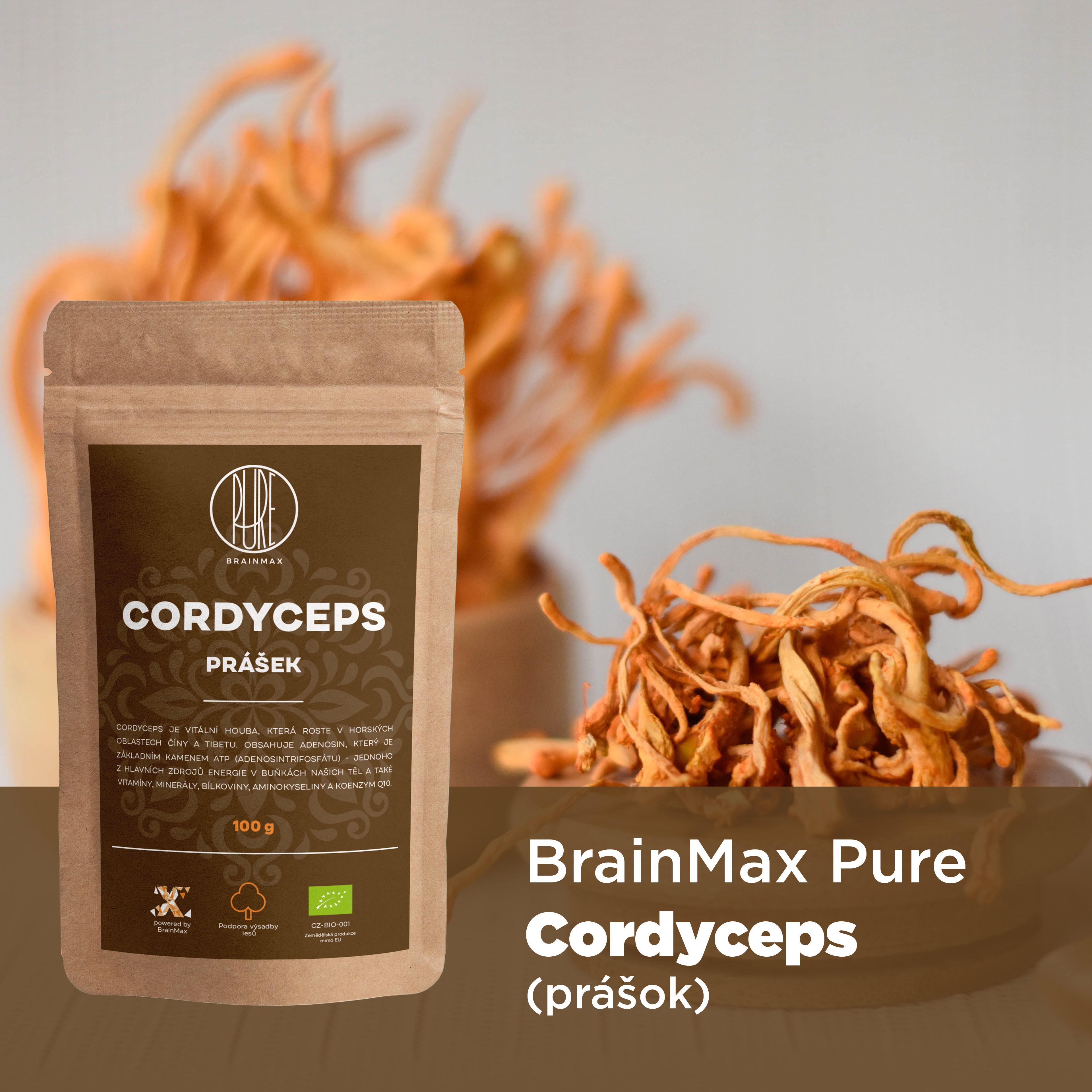 cordyceps_infografika_brainmarket_sk