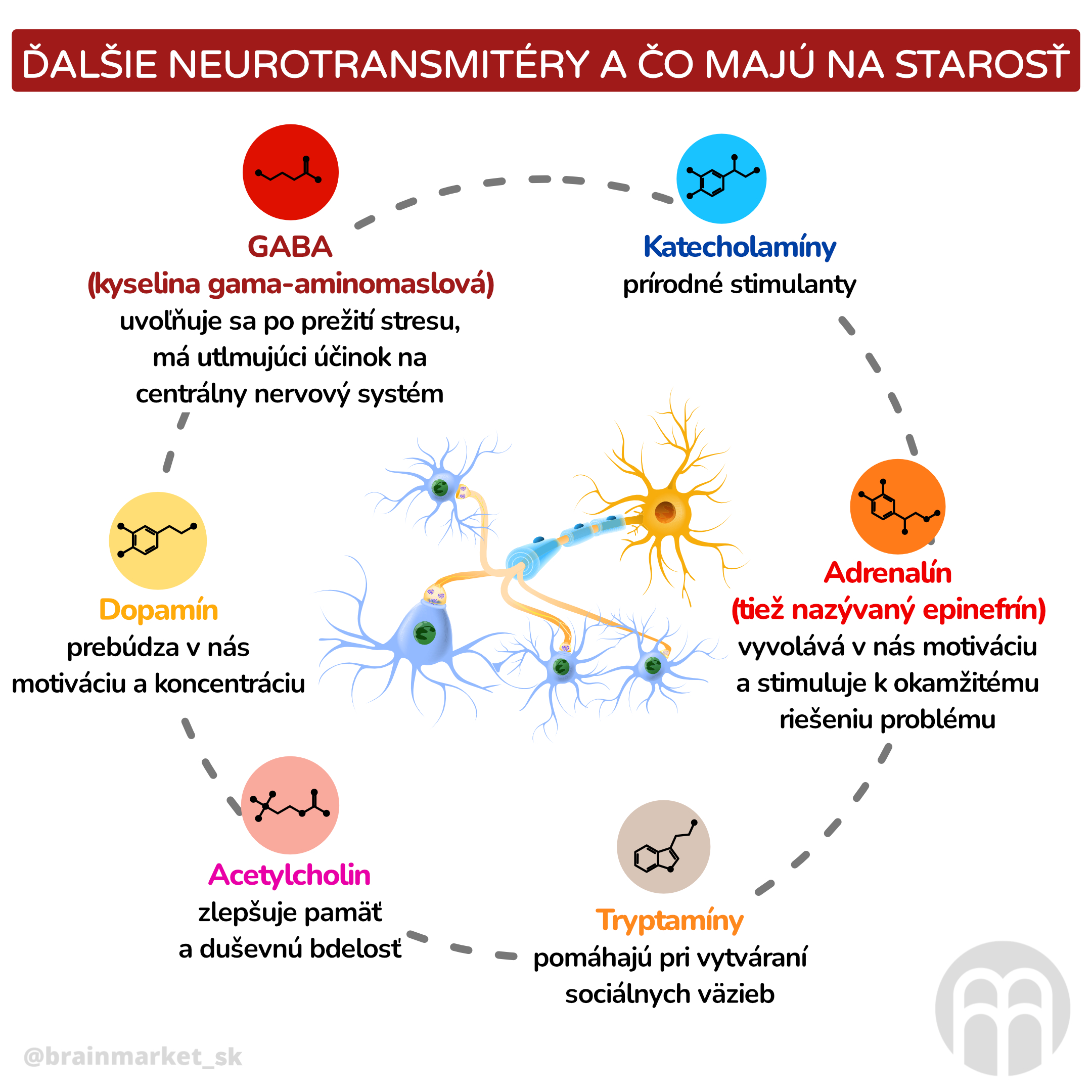 dalsi neurotransmitery a co maji na starost_inforgafika_cz