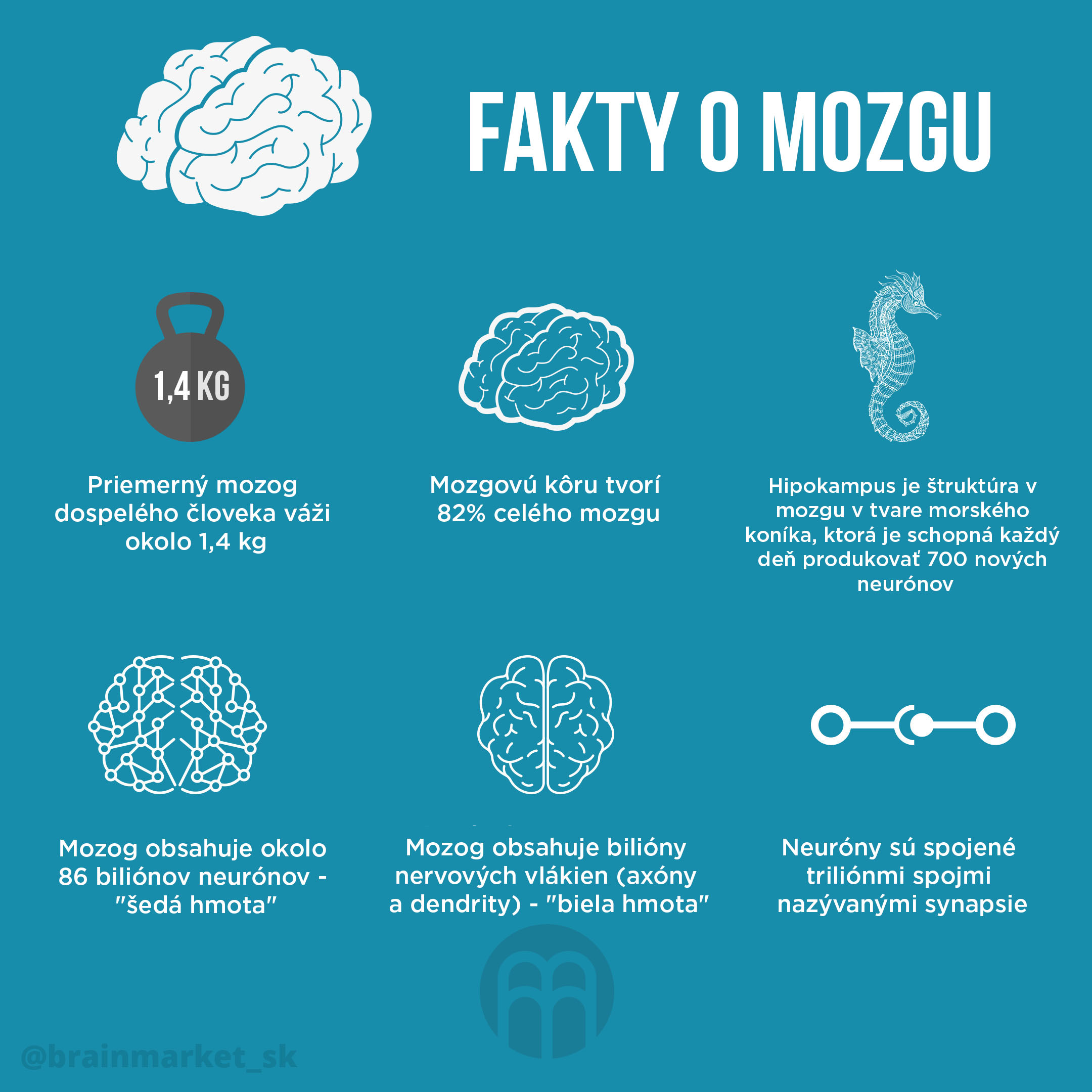 fakta-o-mozku_infografika_brainmarket_sk