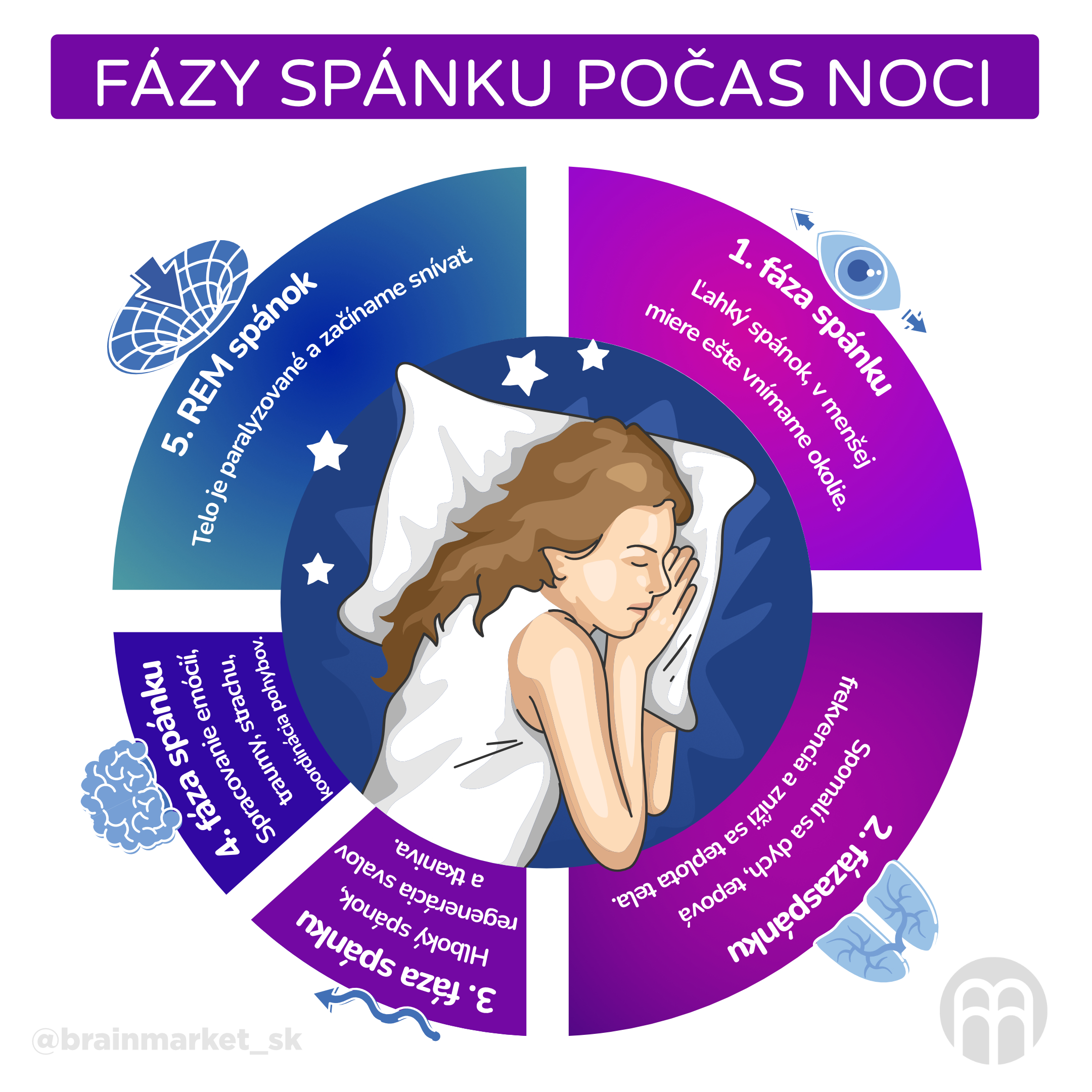 faze spanku_infografika_2_cz