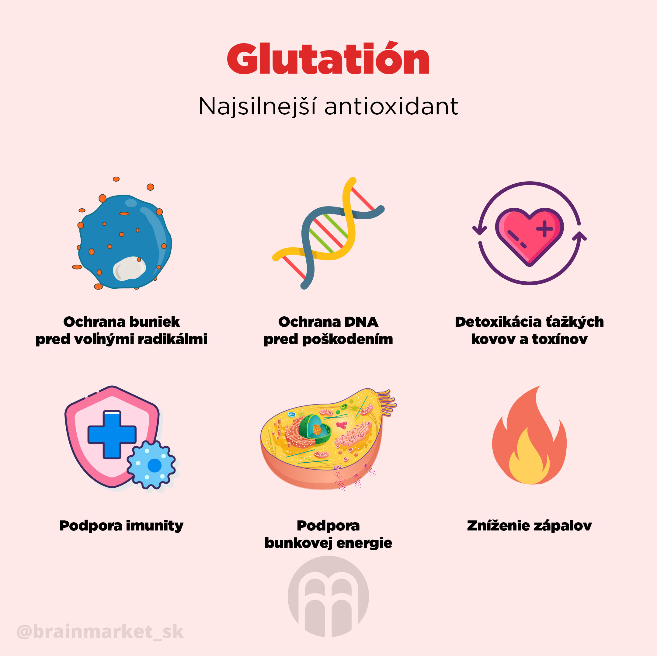 glutation_infografika_brainmarket_sk