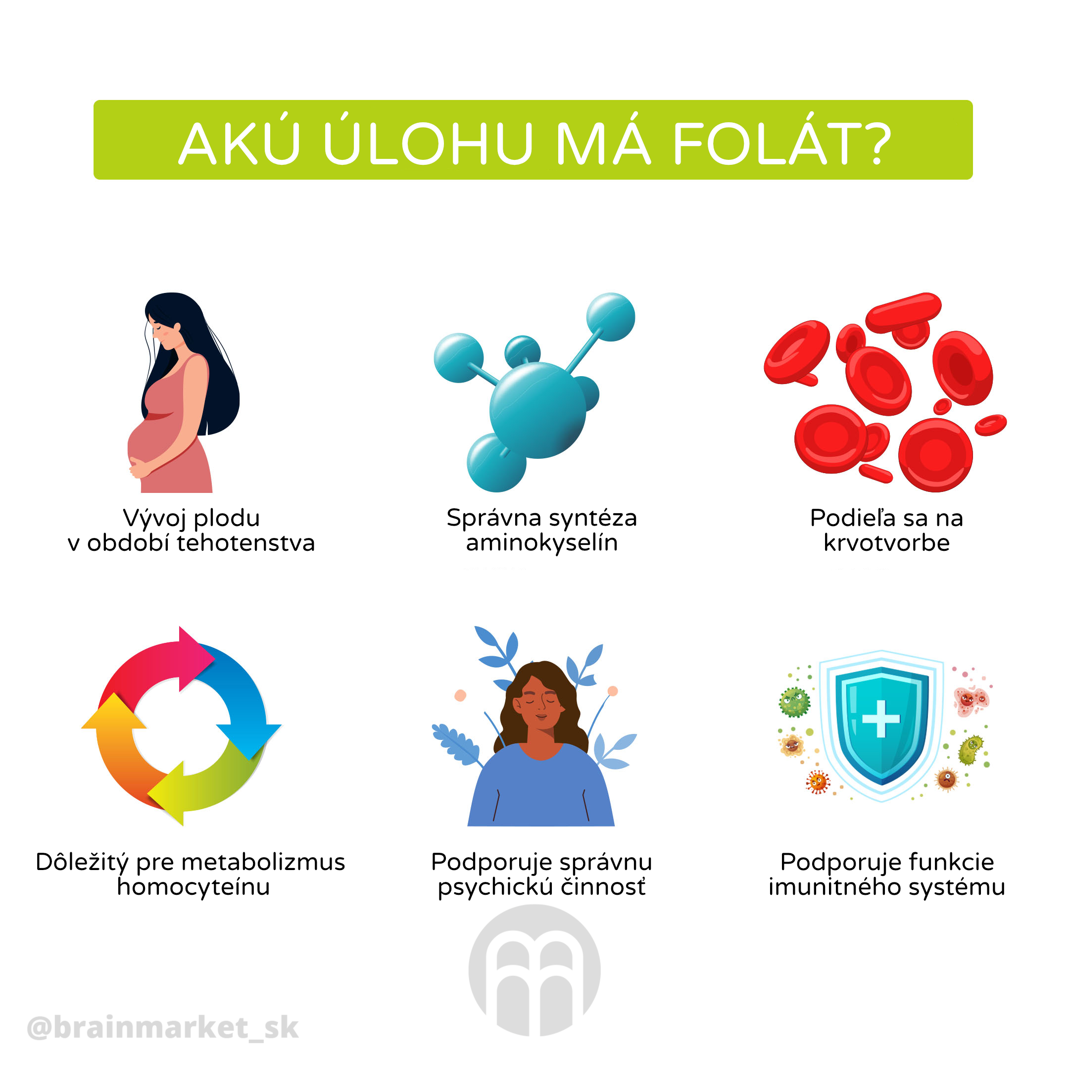 jakou_ulohu_ma_folat_infografika_brainmarket_cz_1