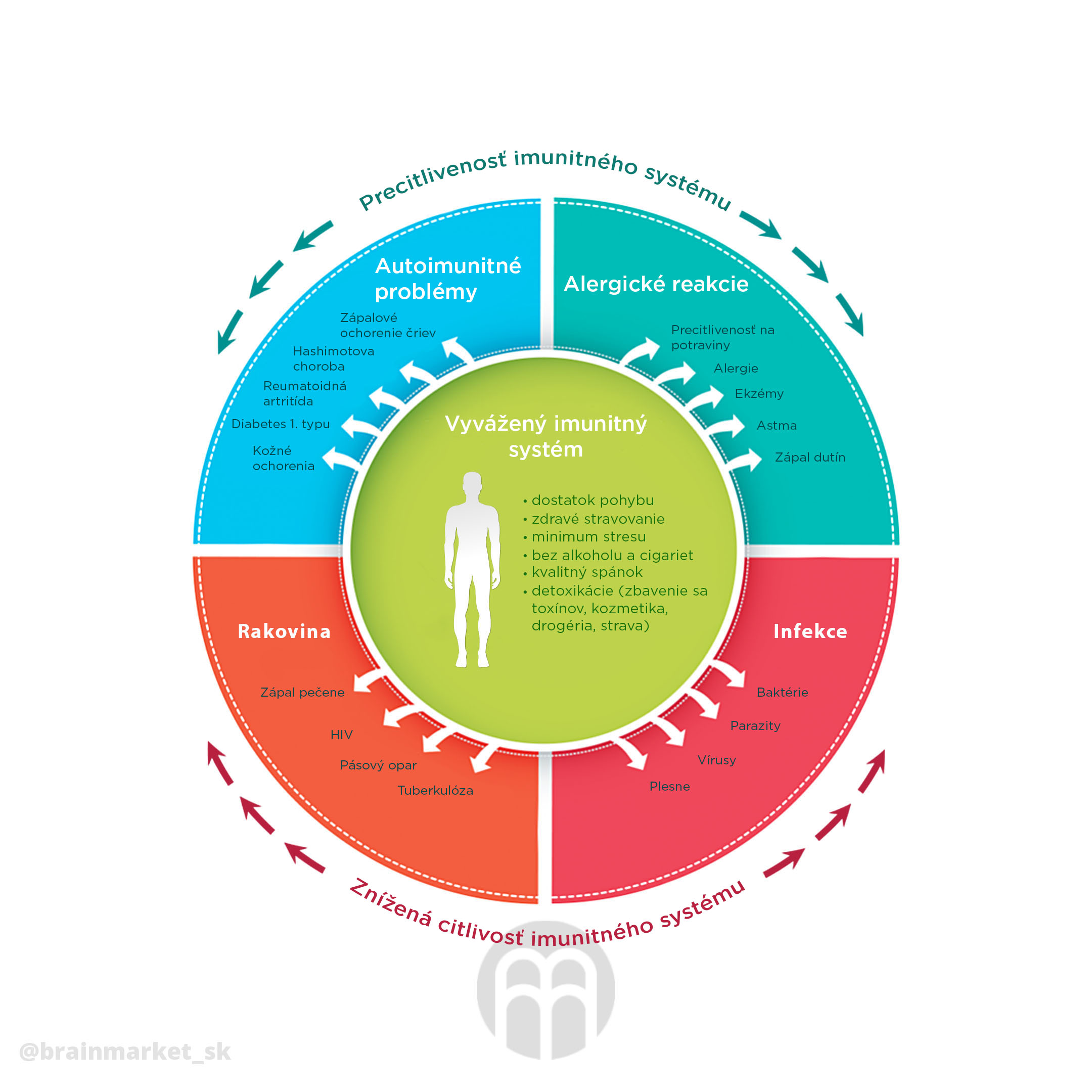 imunta-kolo-infografika-brainmarket-sk