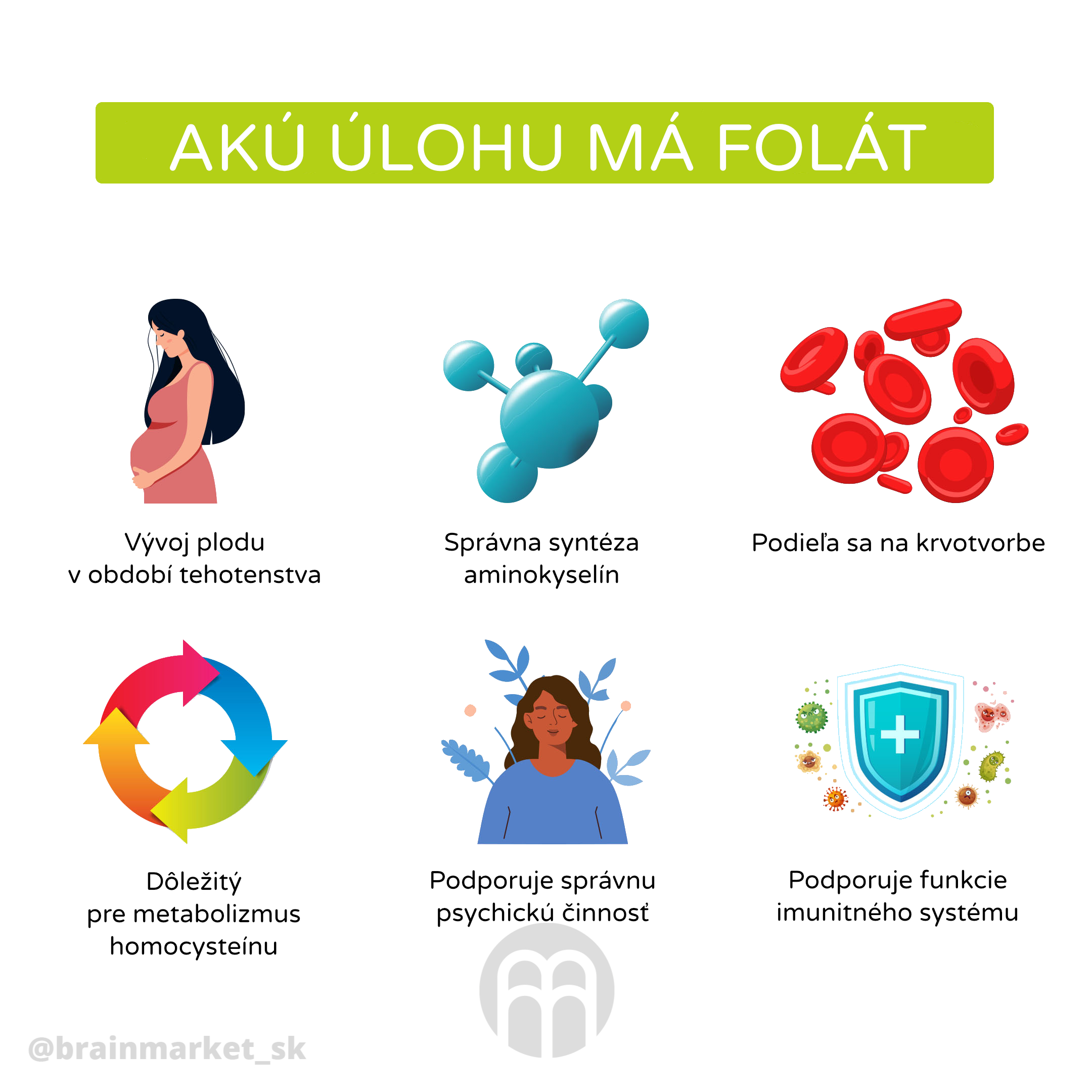 jakou_ulohu_ma_folat_infografika_brainmarket_cz_1