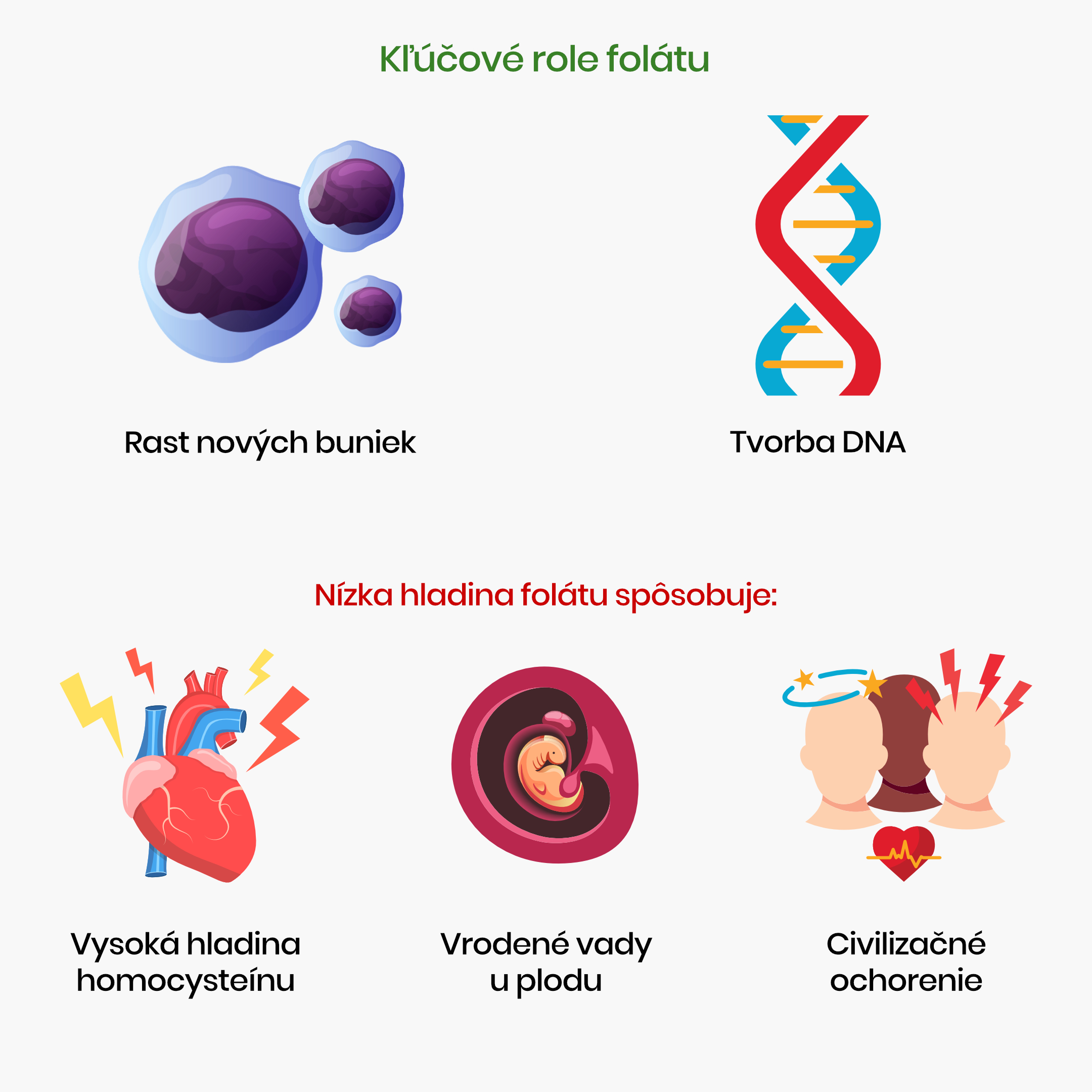 kľukové role folatu