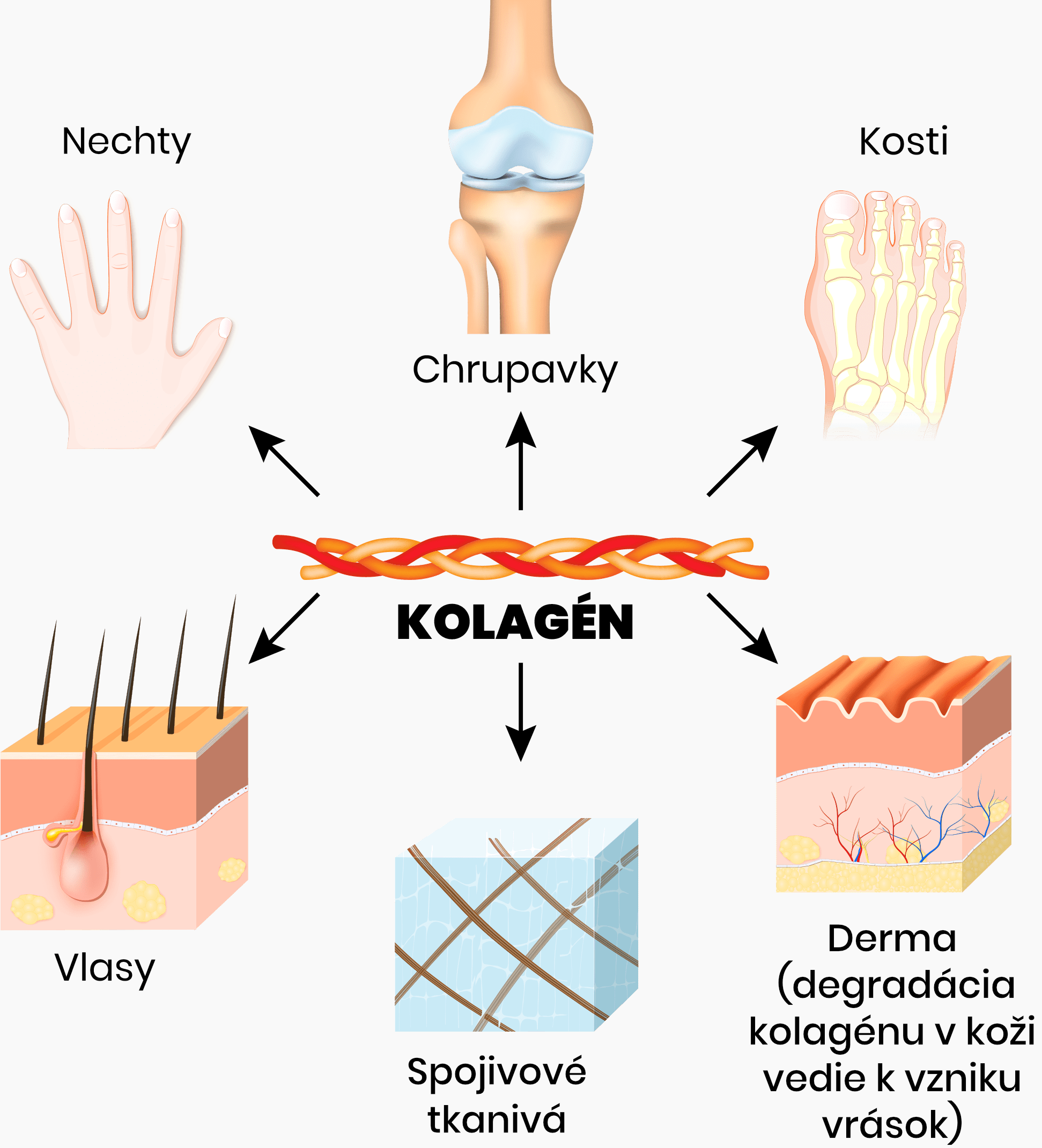 BrainMax Lipozomálna Kolagén komplex Tekutý