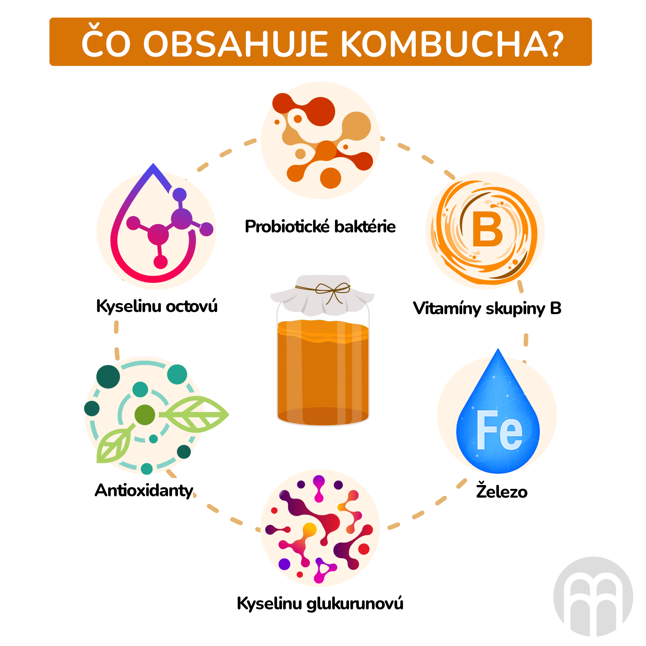 kombucha_inforgafika_cz