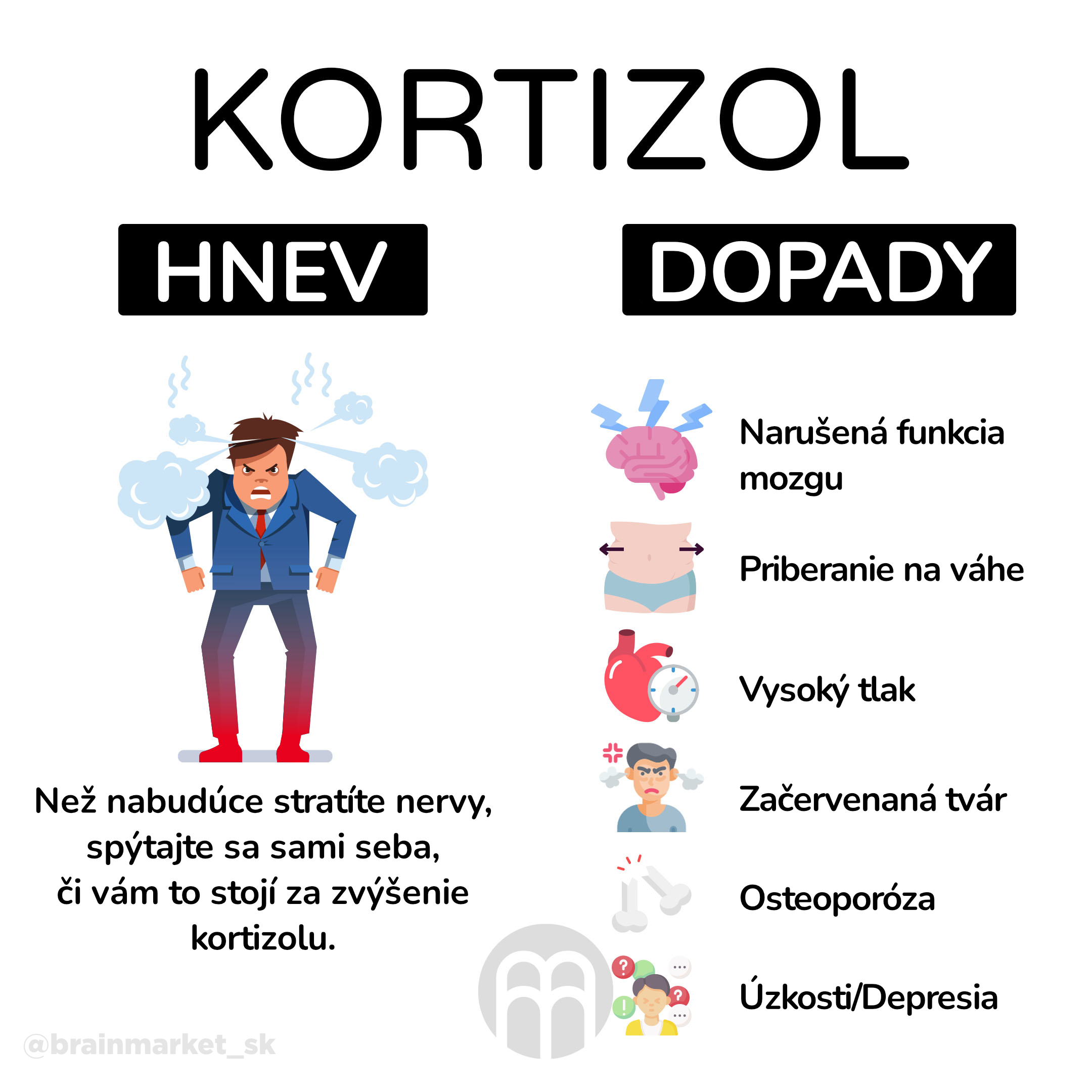 kortizol_infografika_brainmarket_cz