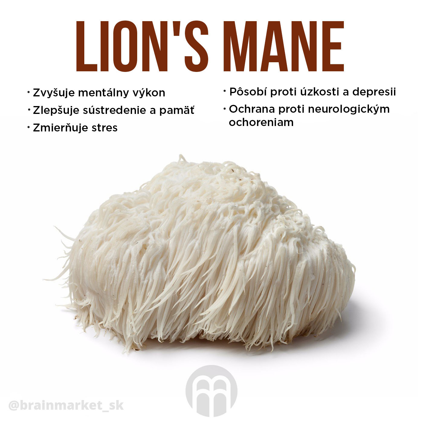 lions-mane-sk