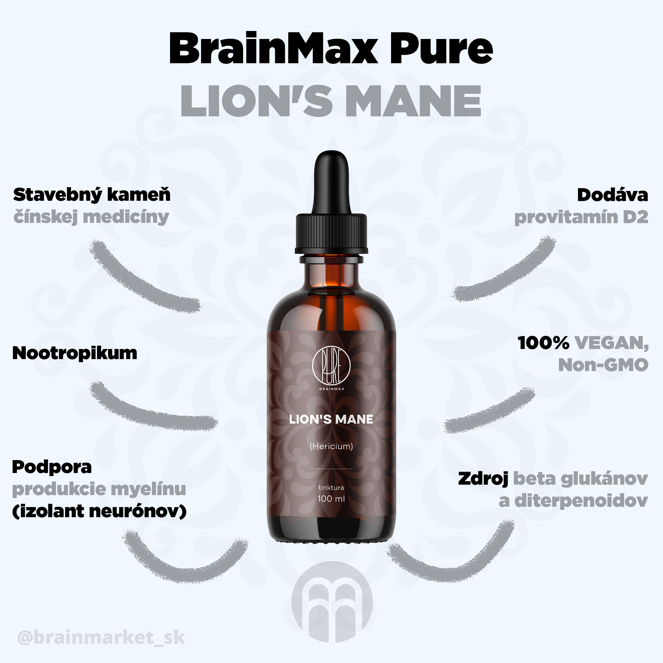lions_mane_infografika_brainmarket_sk