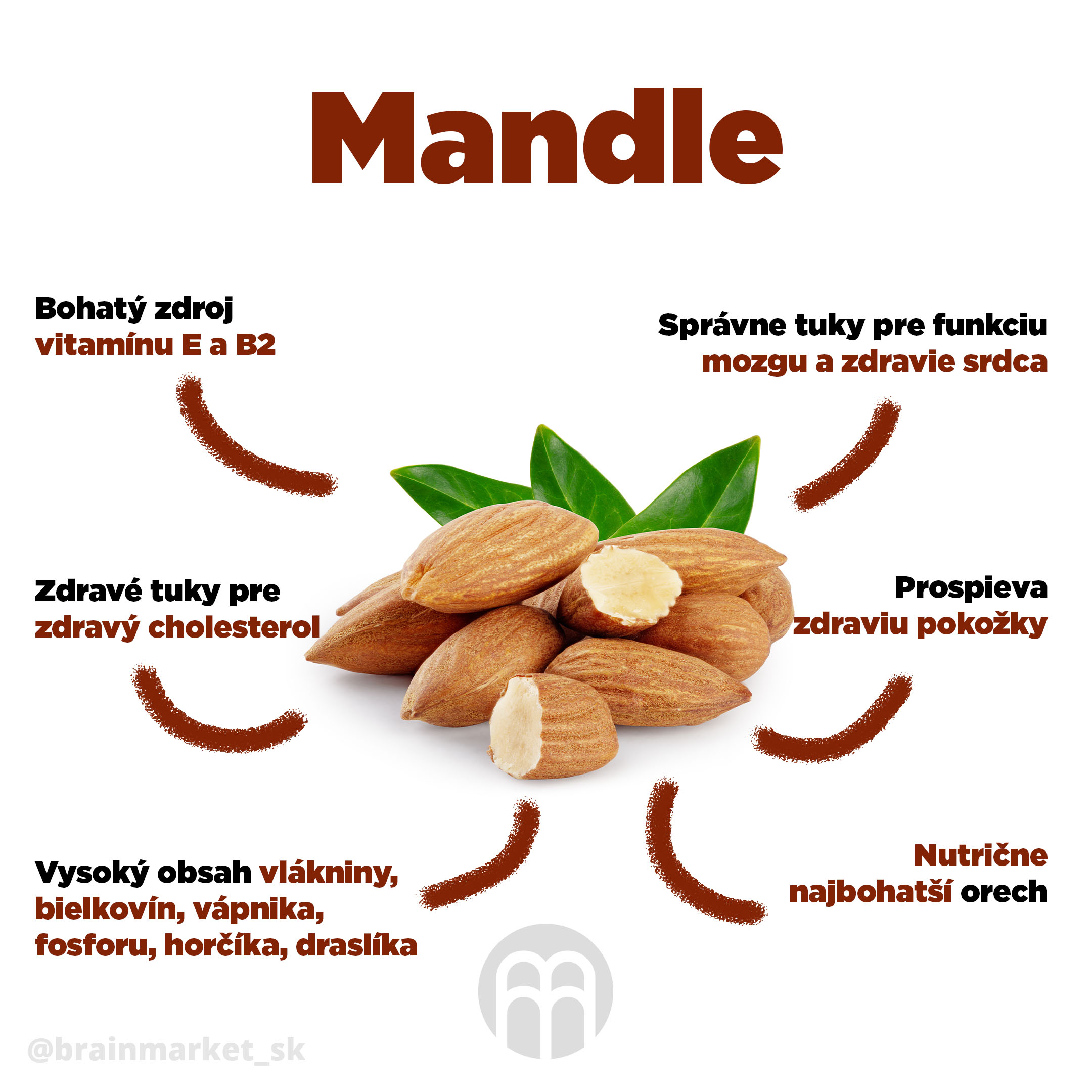 mandle_infografika_brainmarket_SK