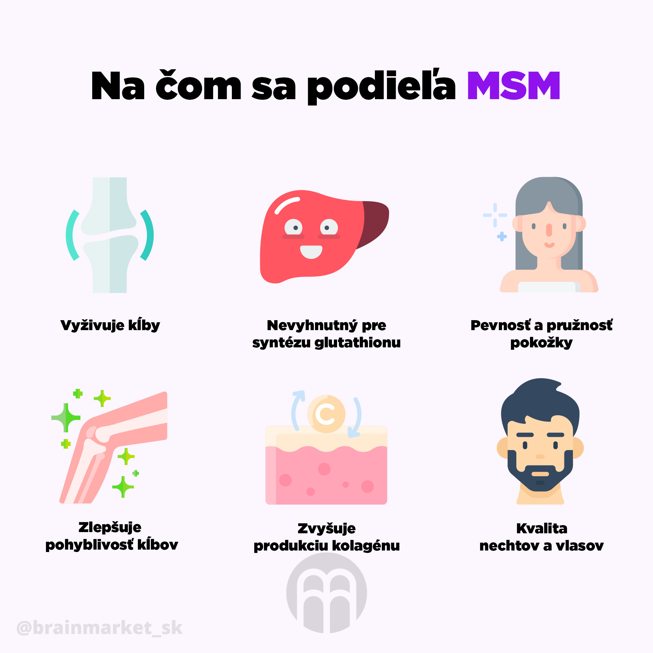 na_cem_se_podili_msm_brainmarket-infografika-sk