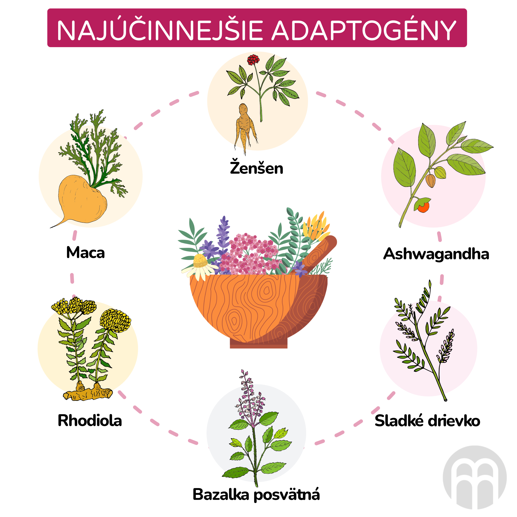 nejucinnejsi adaptogenni byliny_inforgafika_cz