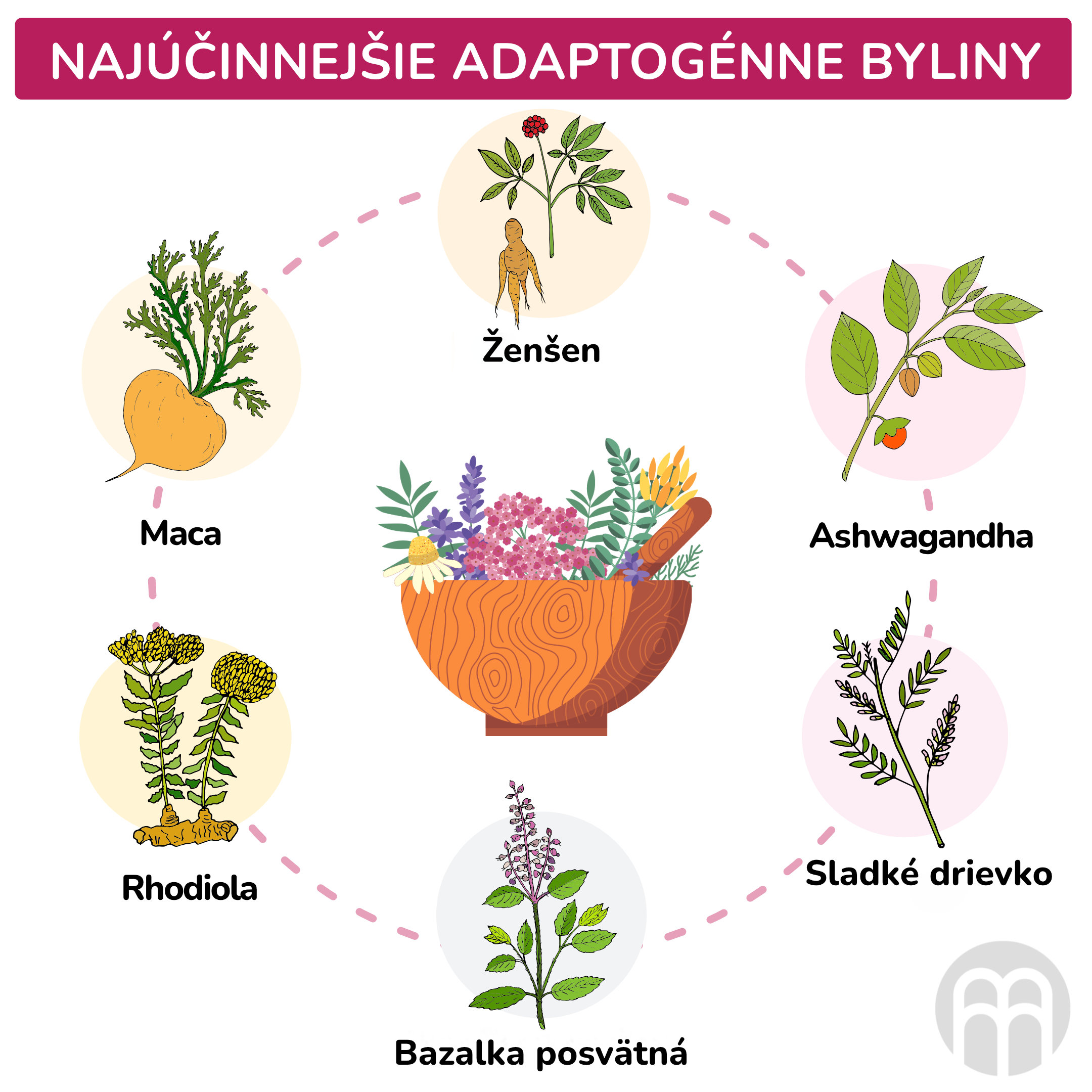 nejucinnejsi adaptogenni byliny_inforgafika_cz