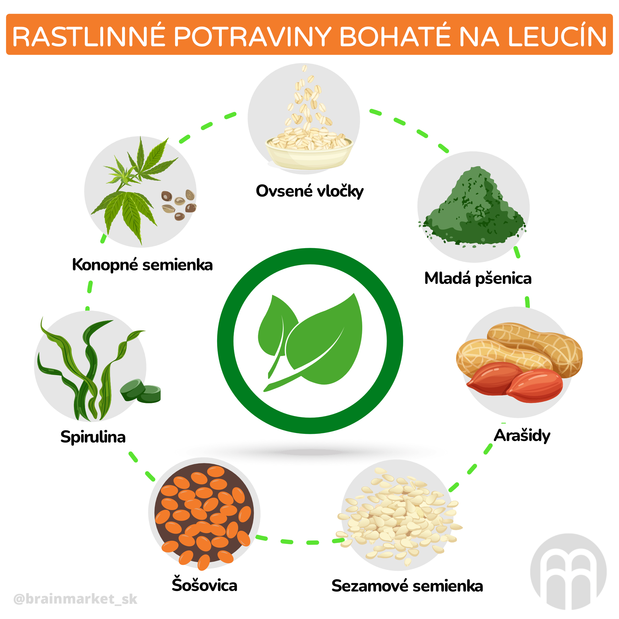 postlinne potraviny bohaté na leucin_inforgafika_cz