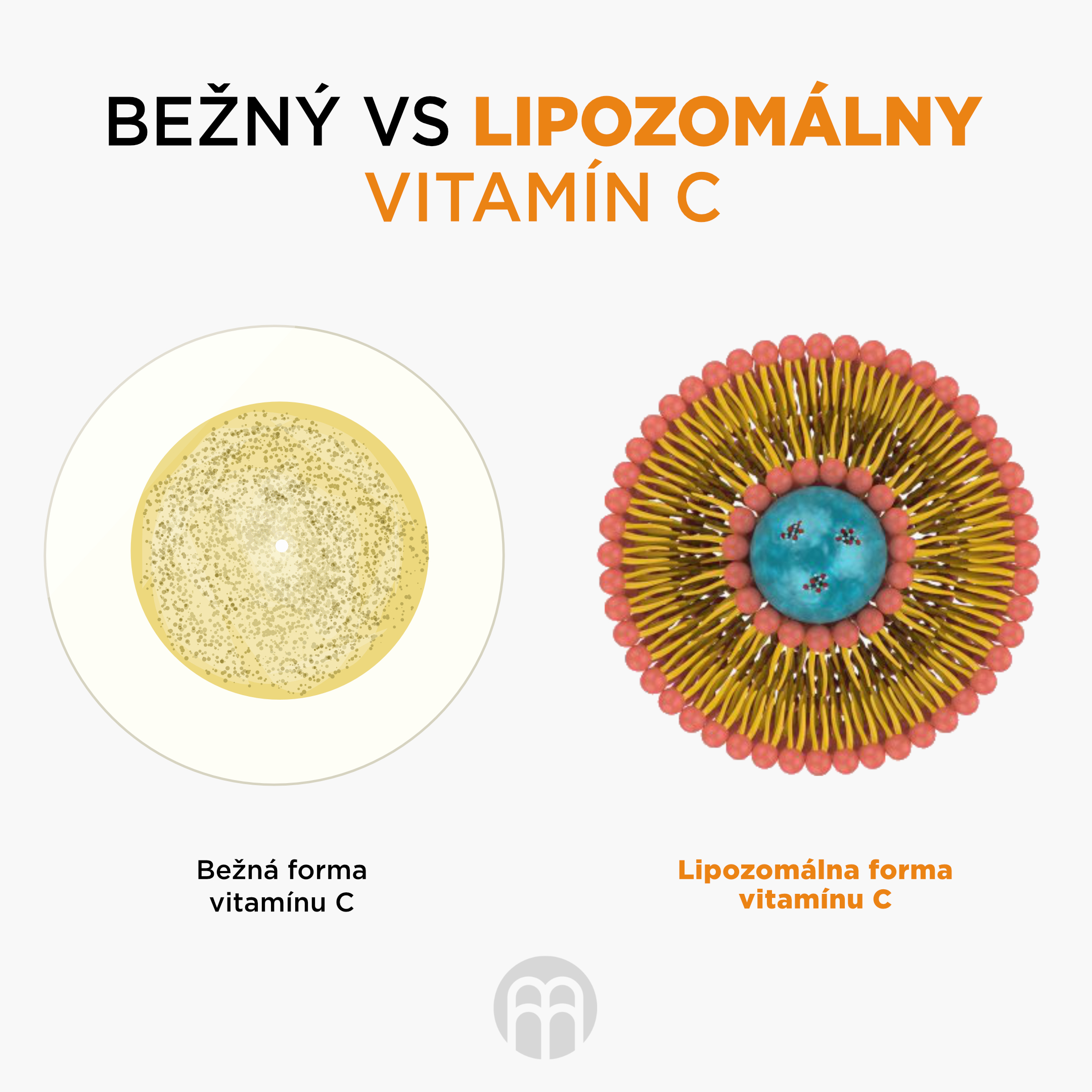 bezny vs lipo