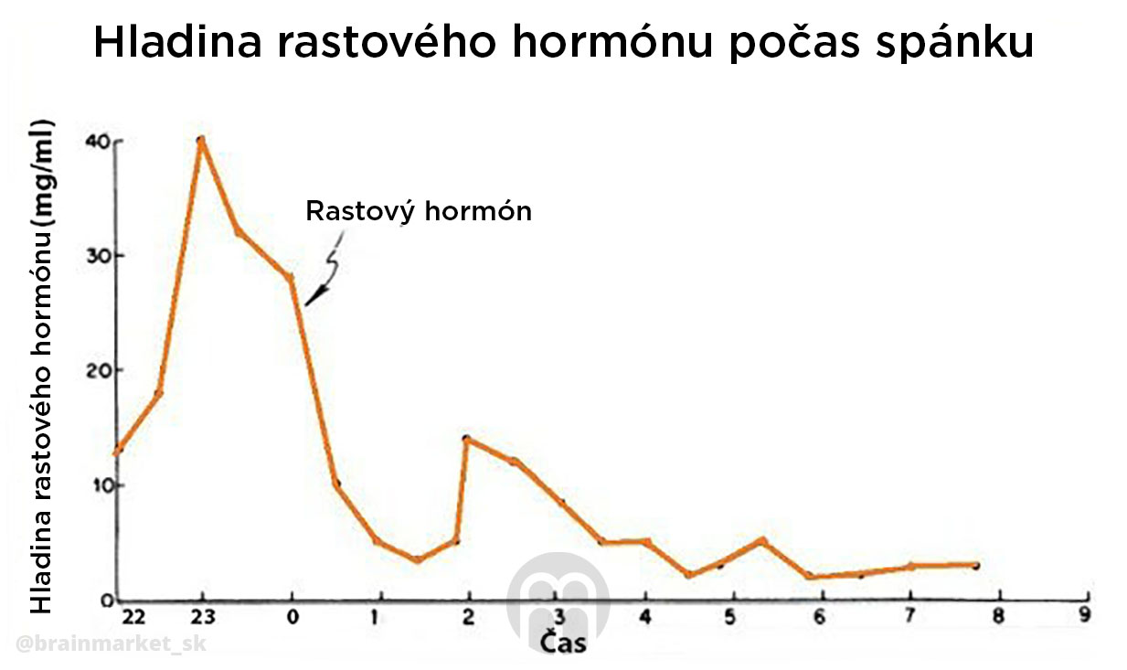 rustovy-hormon-behem-spanku-infografika-brainmarket-sk