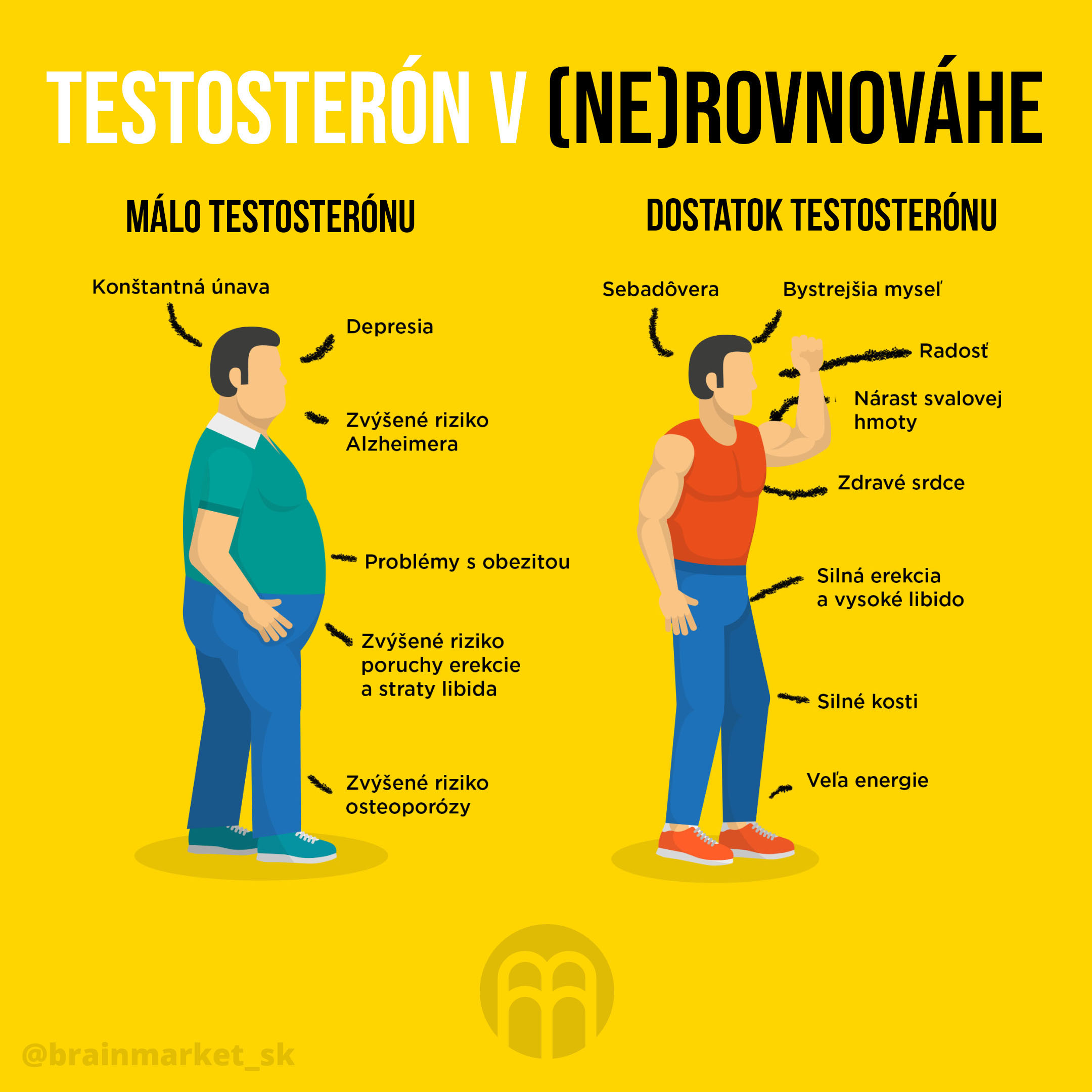 test0steron-rovnovaha_infografika_brainmarket_sk