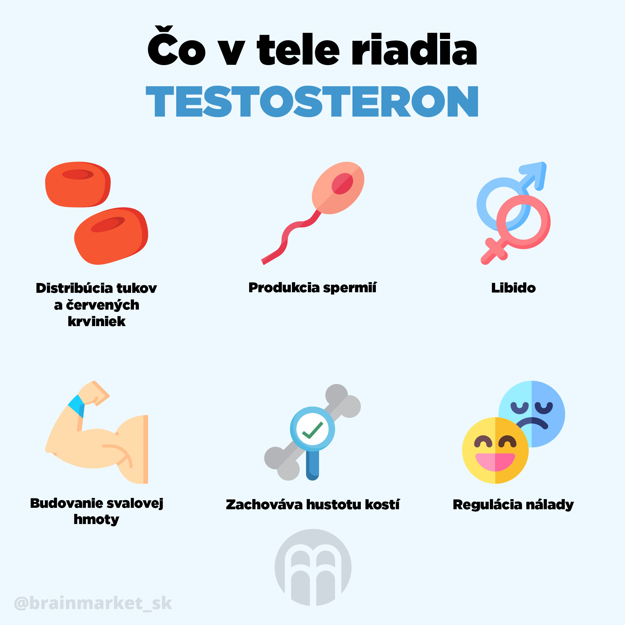 testosteron_brainmarket_infografika_sk