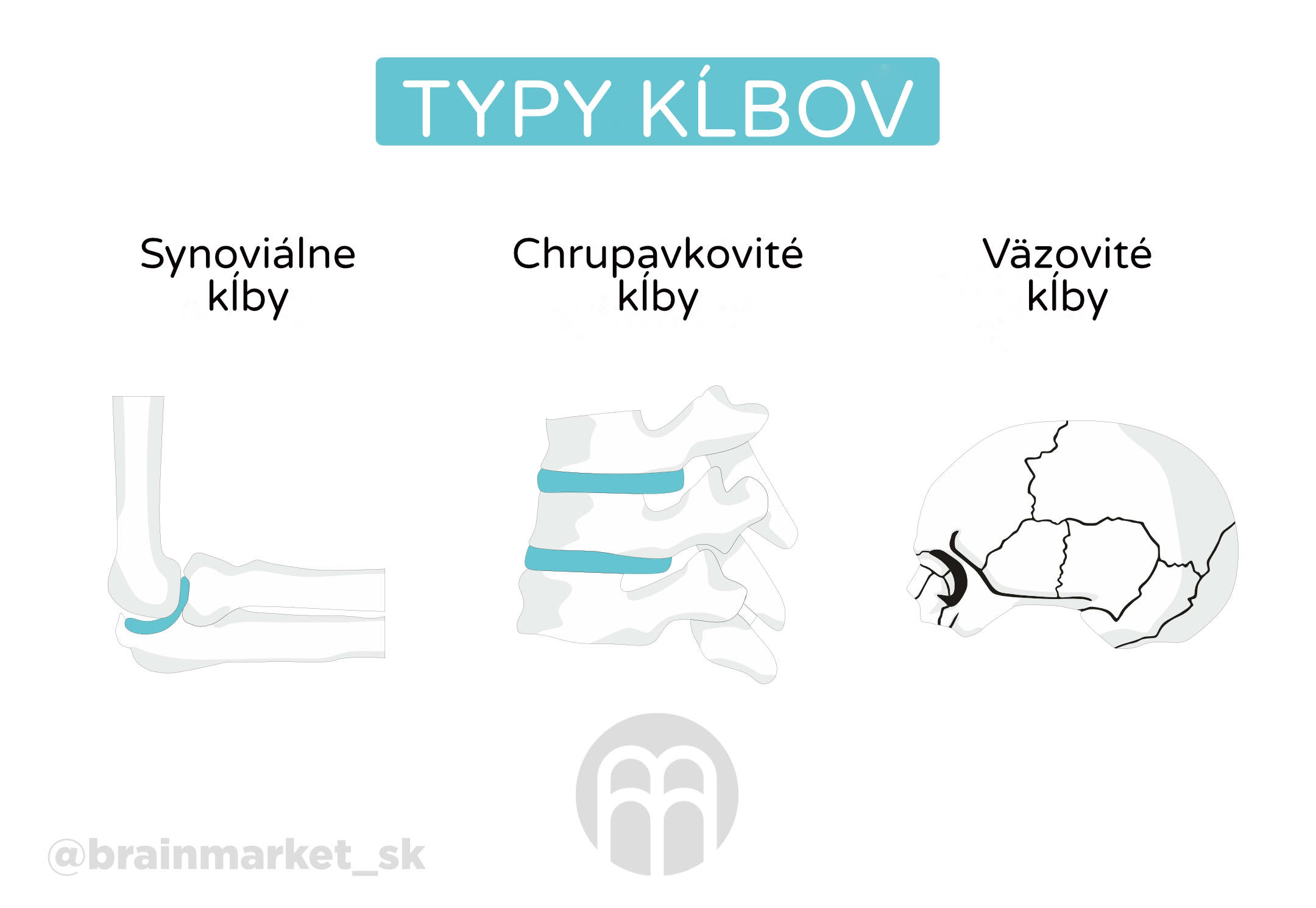 typy kloubu_infografika_cz