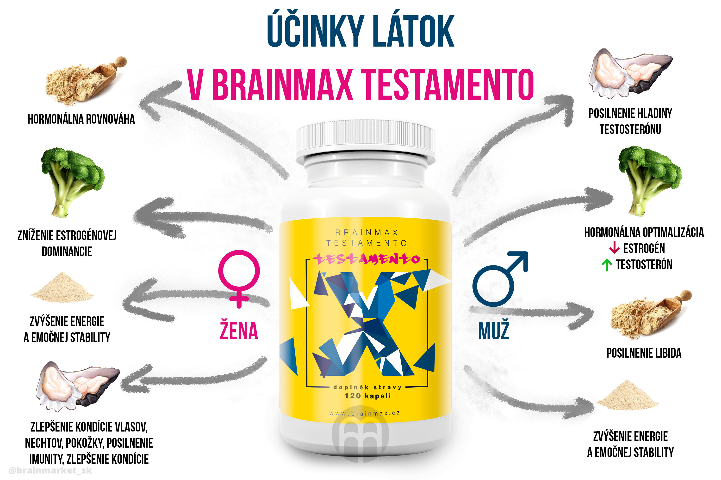 ucinky-latek-v-branmax-testamento-infografika-brainmarket-sk