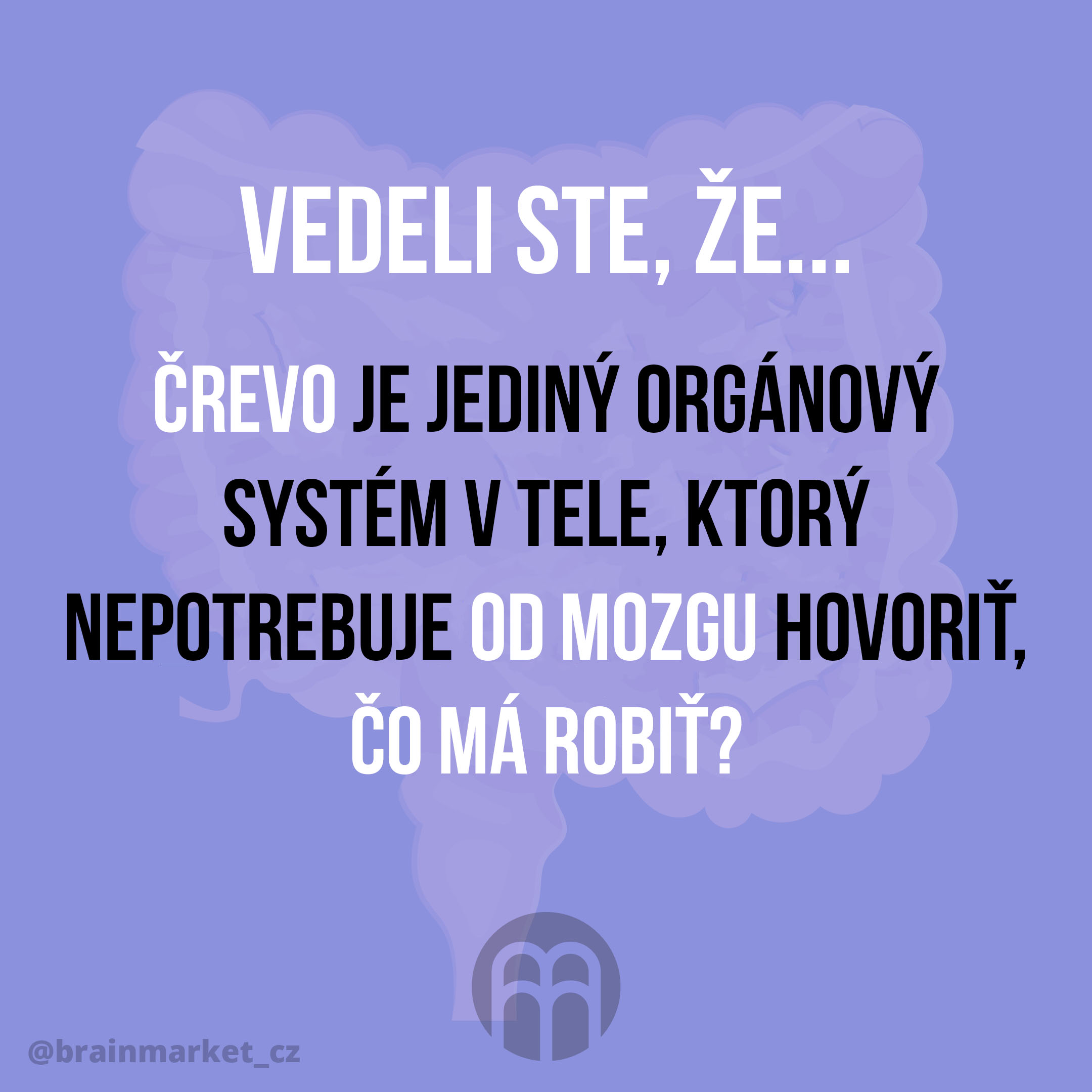 vedeli-jste-ze-strevo-infografika-brainmarket-sk