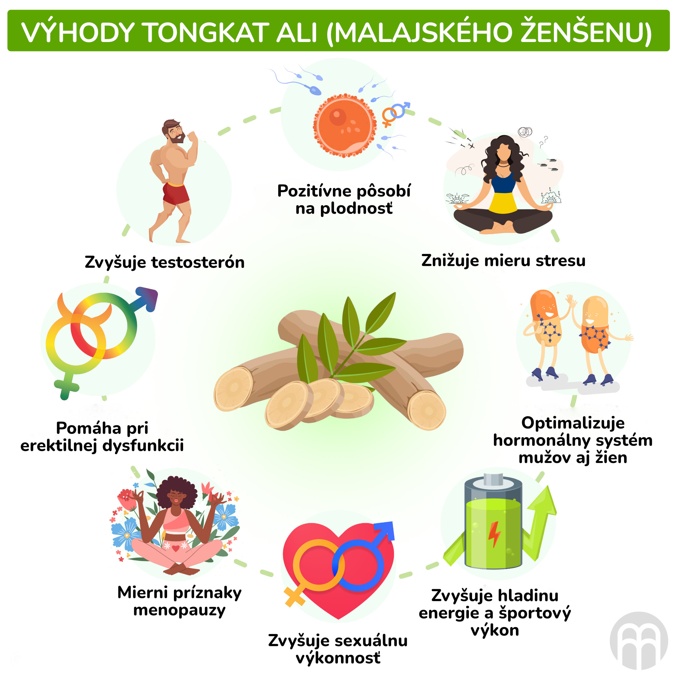 Výhody Tonkgat ali (malajského ženšenu)_infografika_cz