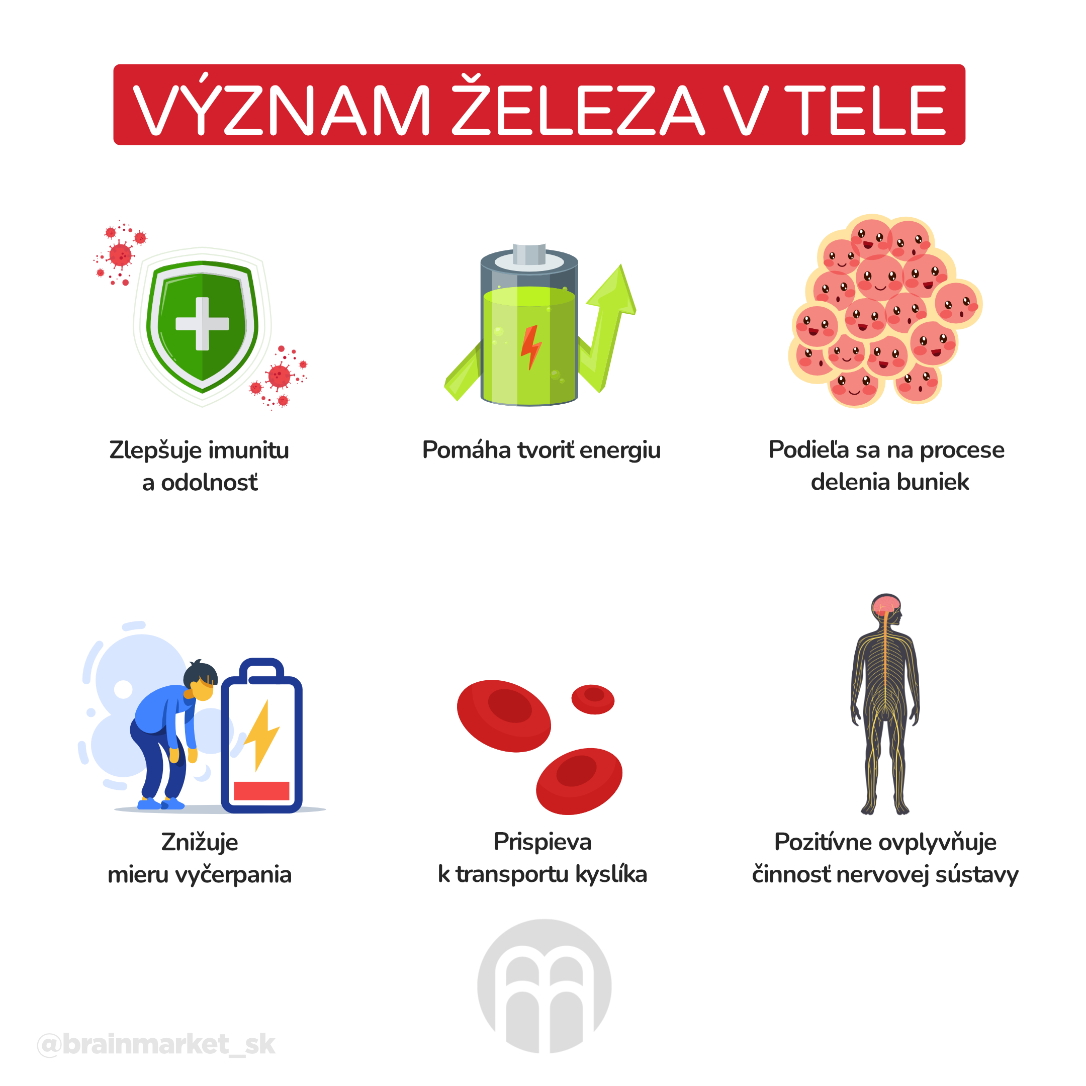 vyznam_zeleza_v_tele_infografika_cz