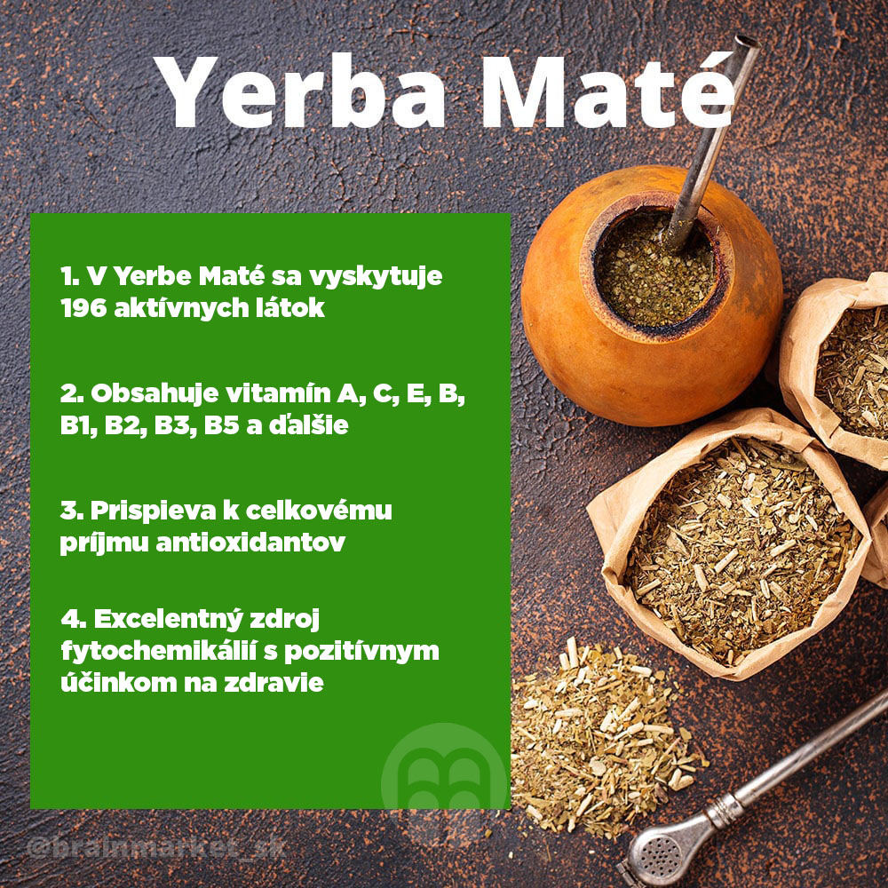 yerba-mate-V2_infografika_brainmarket_sk